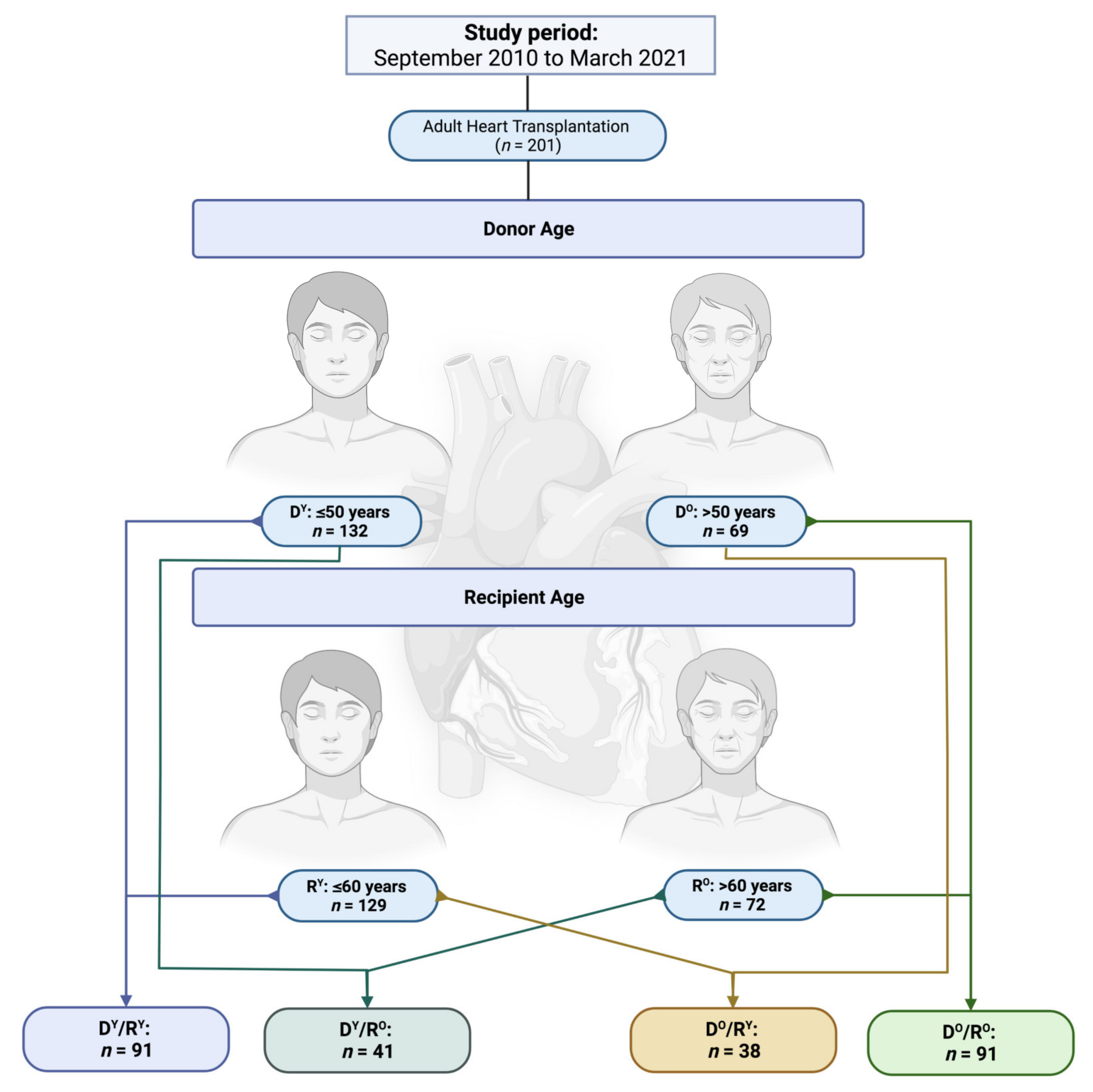 Jcm 11 00929 g001 Jcm 11 00929 g001