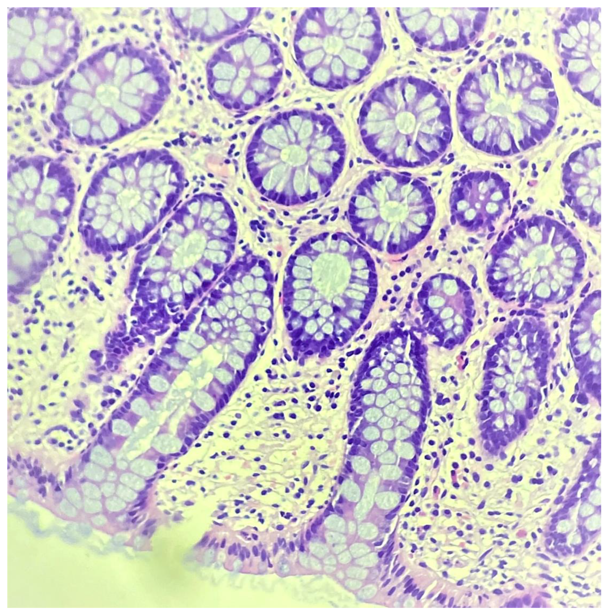 Jcm 11 00939 g002 550