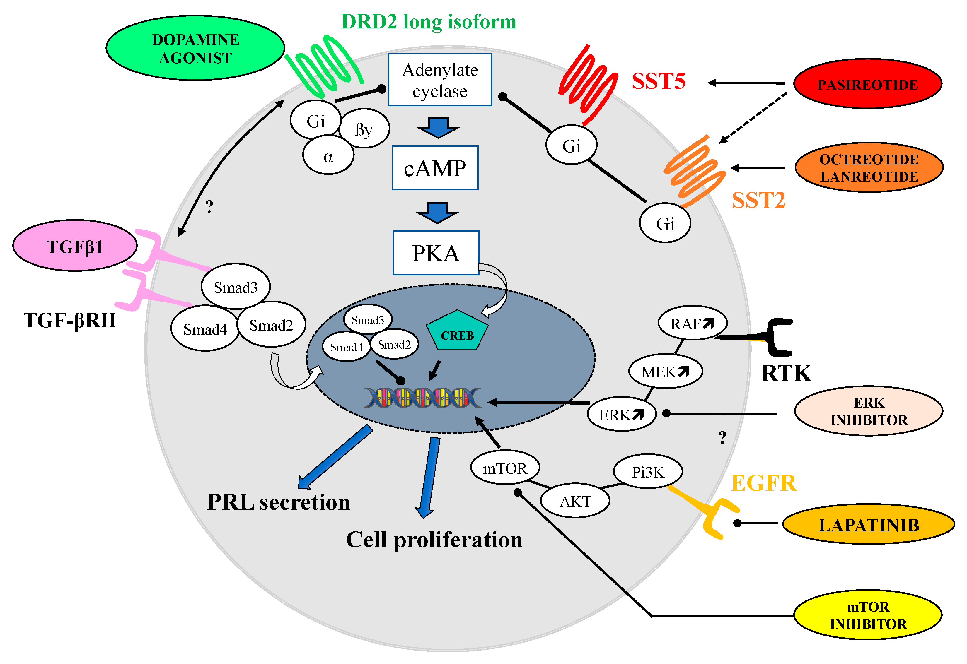 Jcm 11 00955 g001 Jcm 11 00955 g001