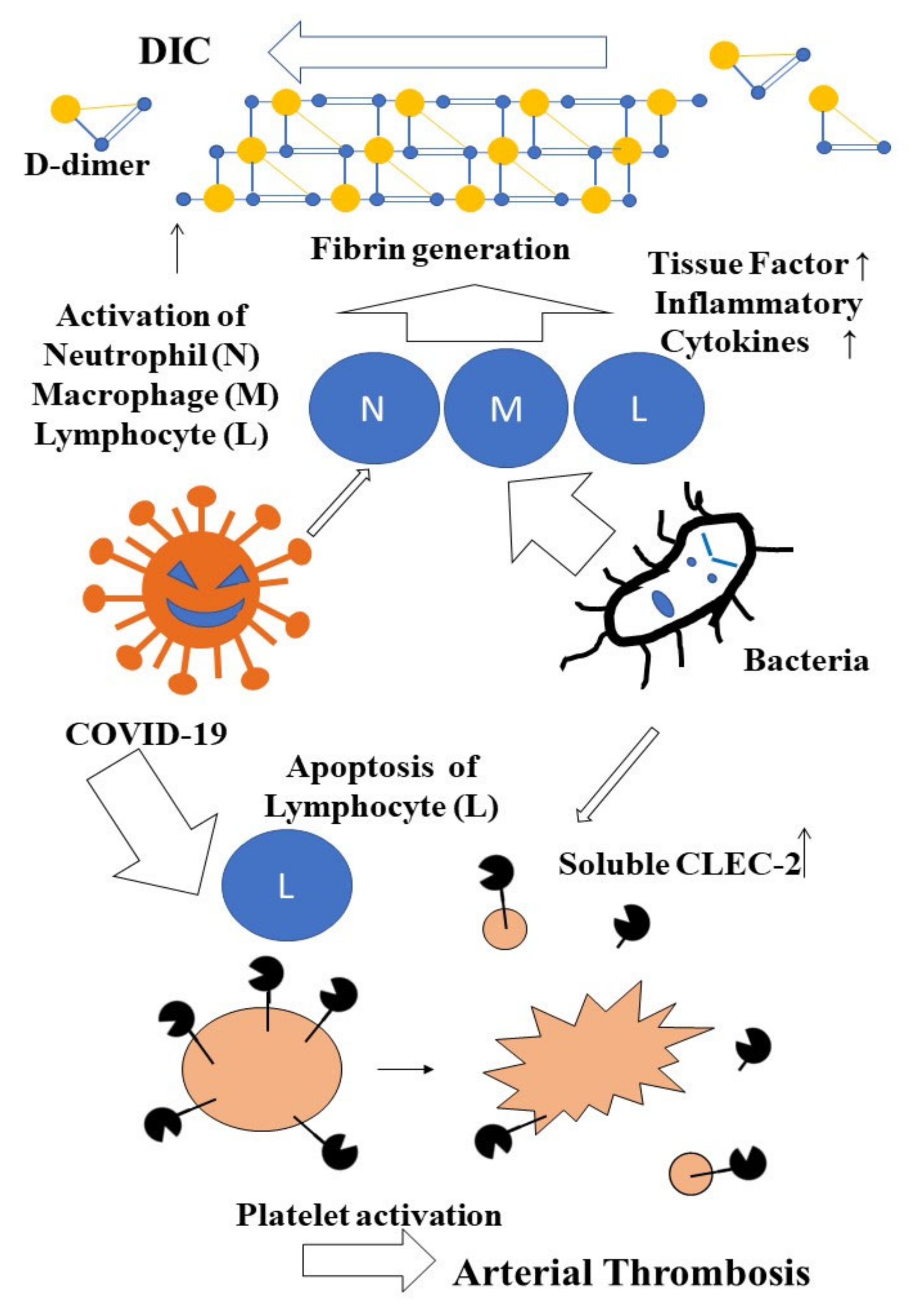 Jcm 11 00985 g004 550