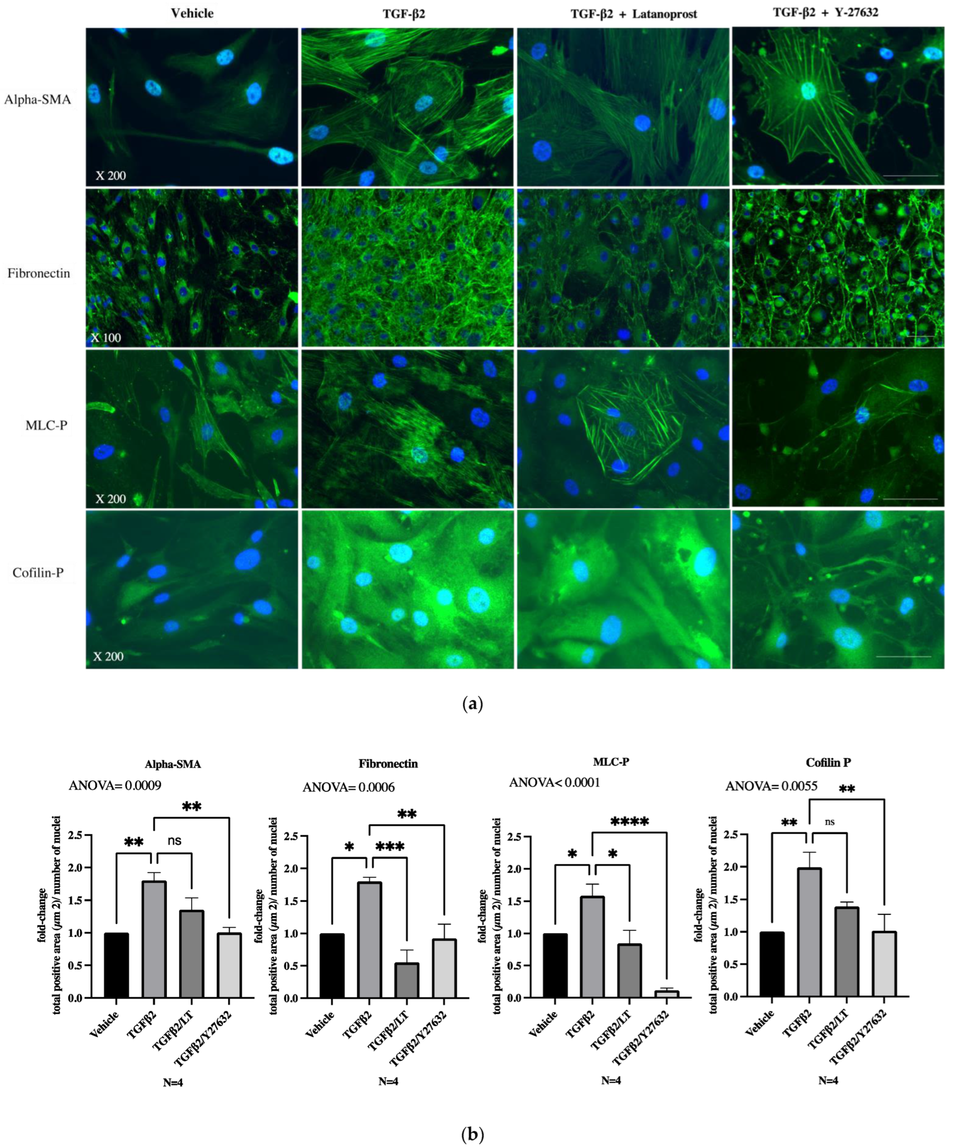 Jcm 11 01001 g003 Jcm 11 01001 g003