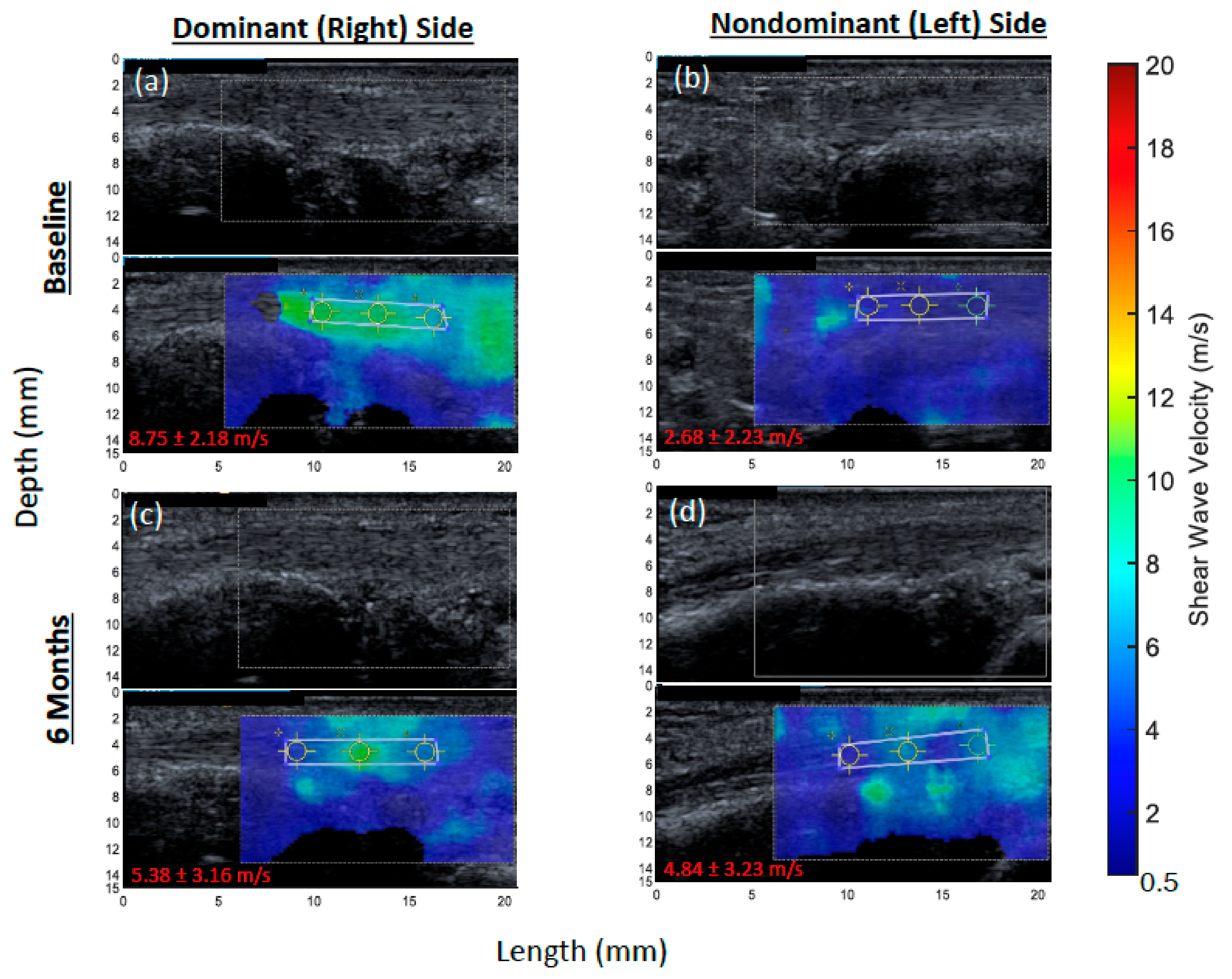 Jcm 11 01067 g001 Jcm 11 01067 g001