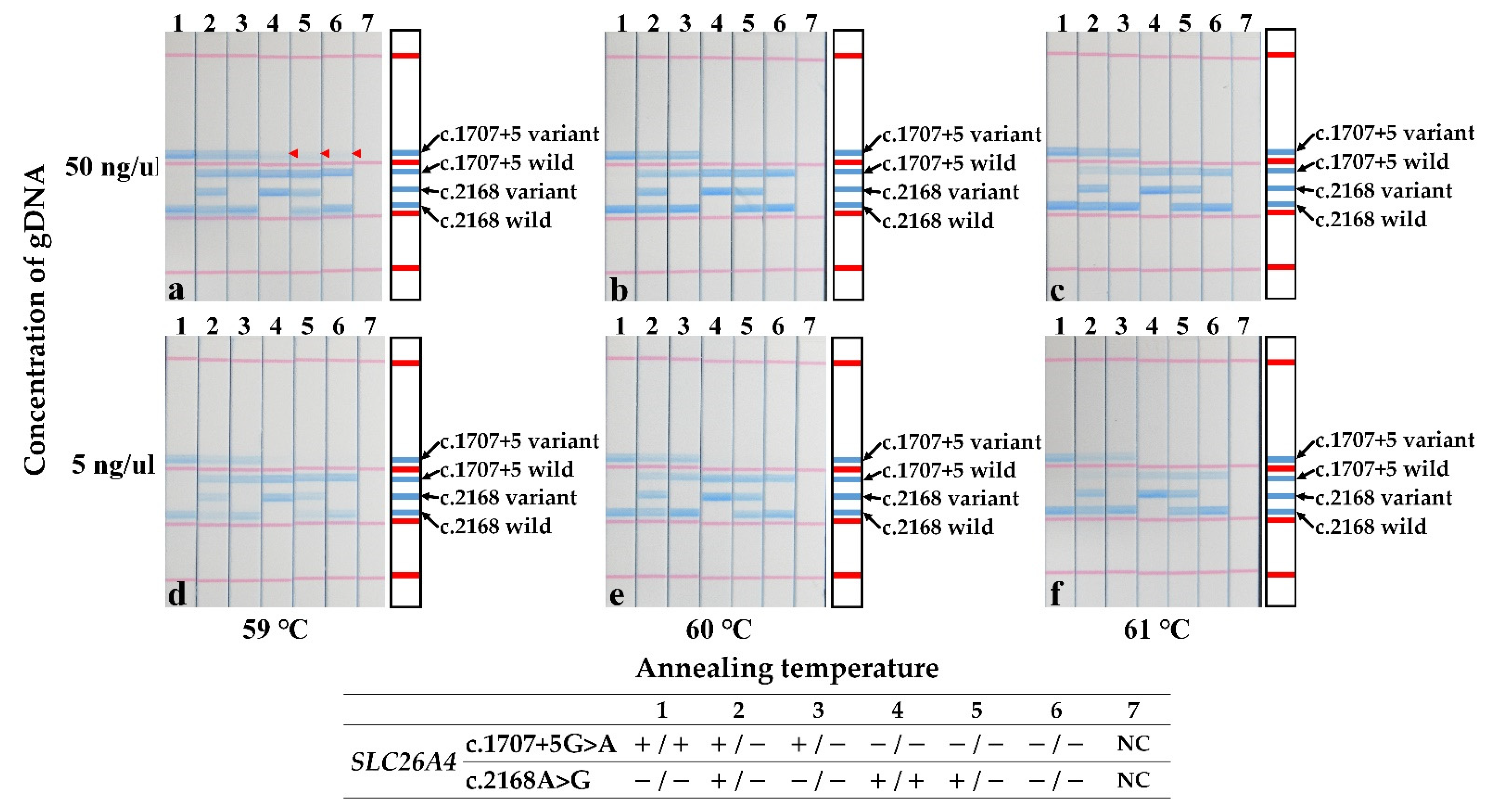 Jcm 11 01099 g003 Jcm 11 01099 g003