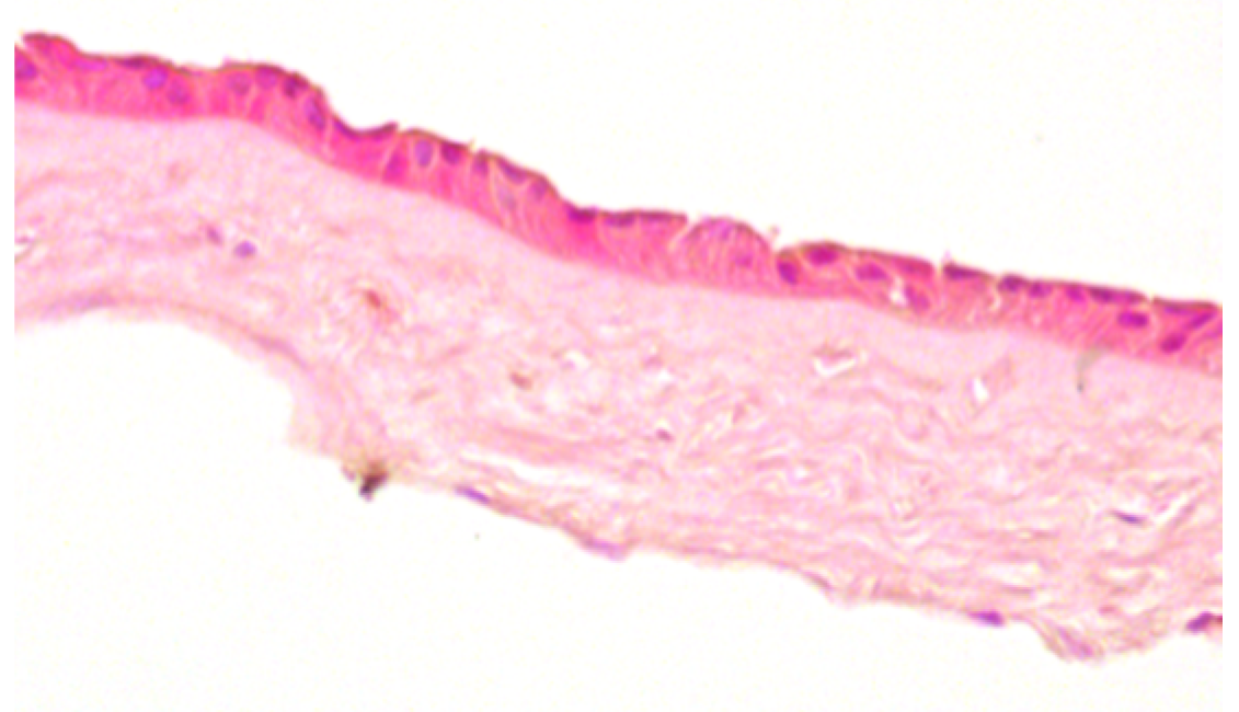 Jcm 11 01109 i001 Jcm 11 01109 i001