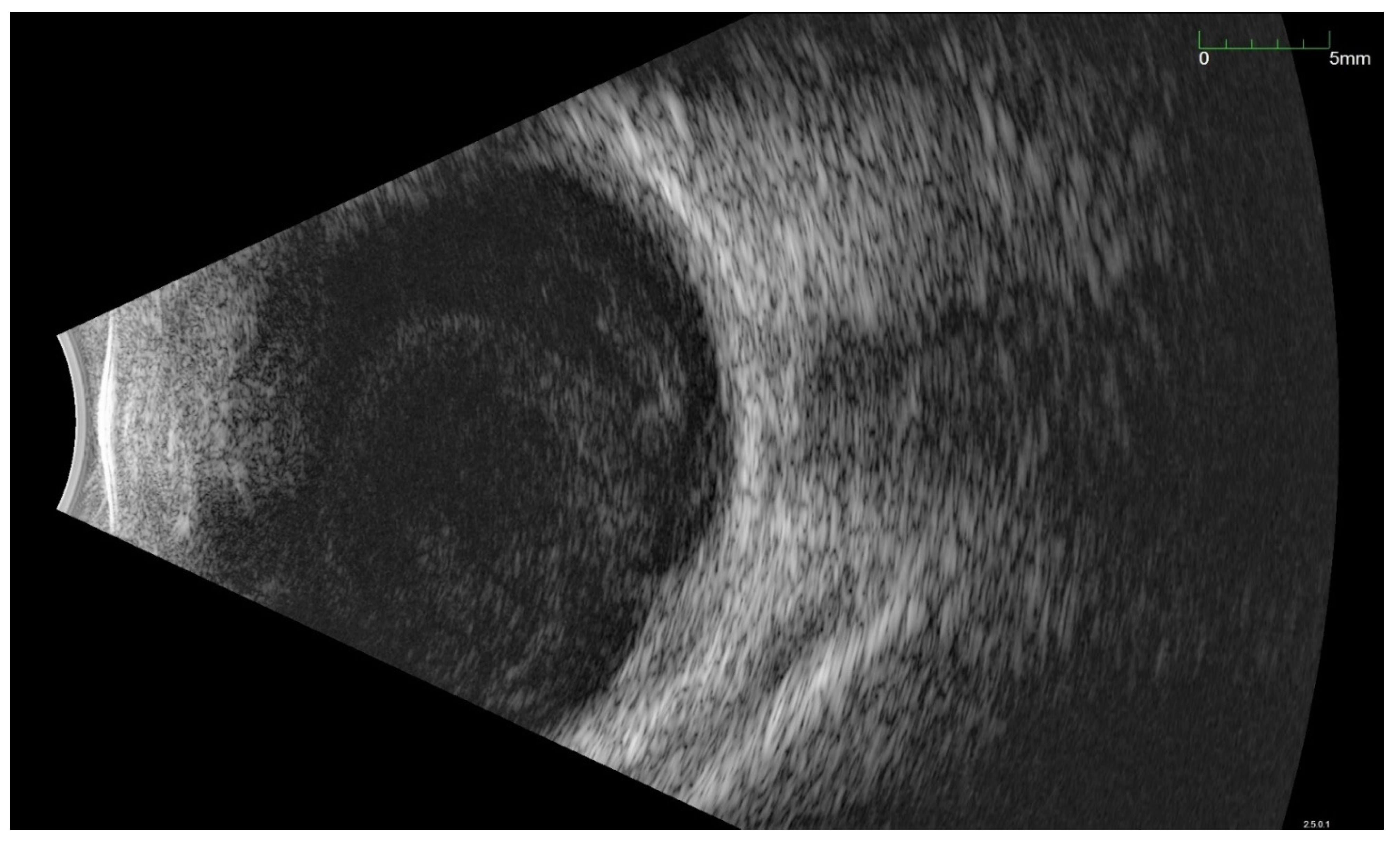 Jcm 11 01183 g007 Jcm 11 01183 g007