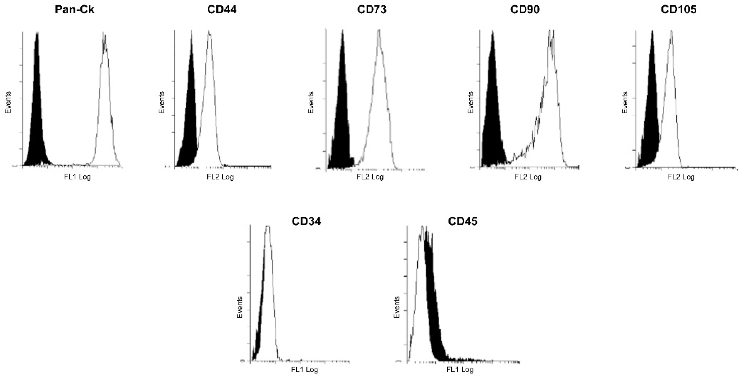 Jcm 11 01236 g001 Jcm 11 01236 g001