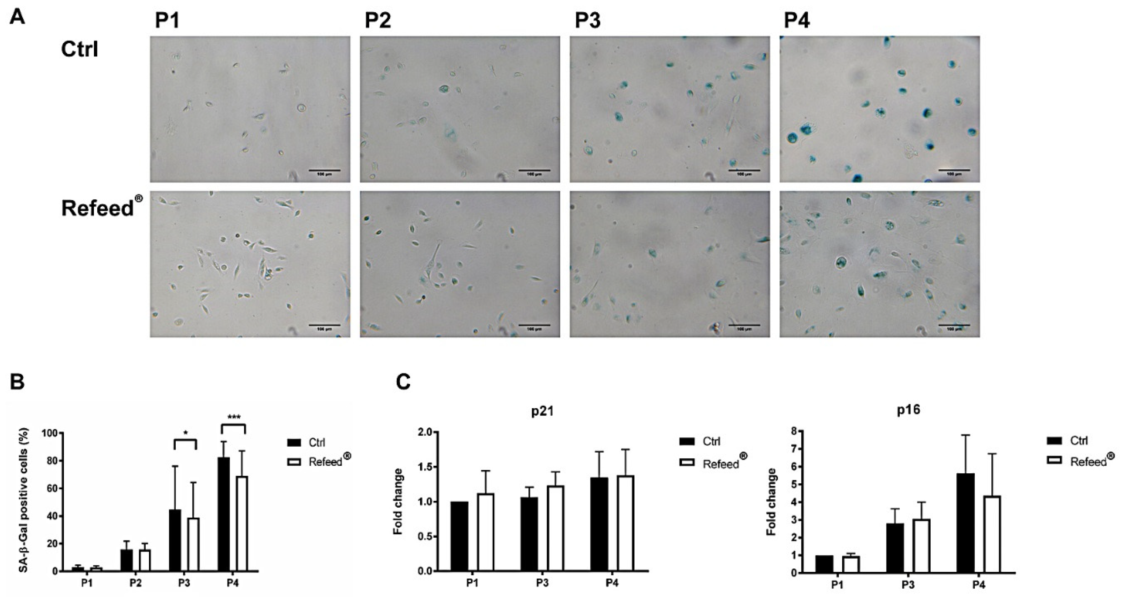 Jcm 11 01236 g007 Jcm 11 01236 g007