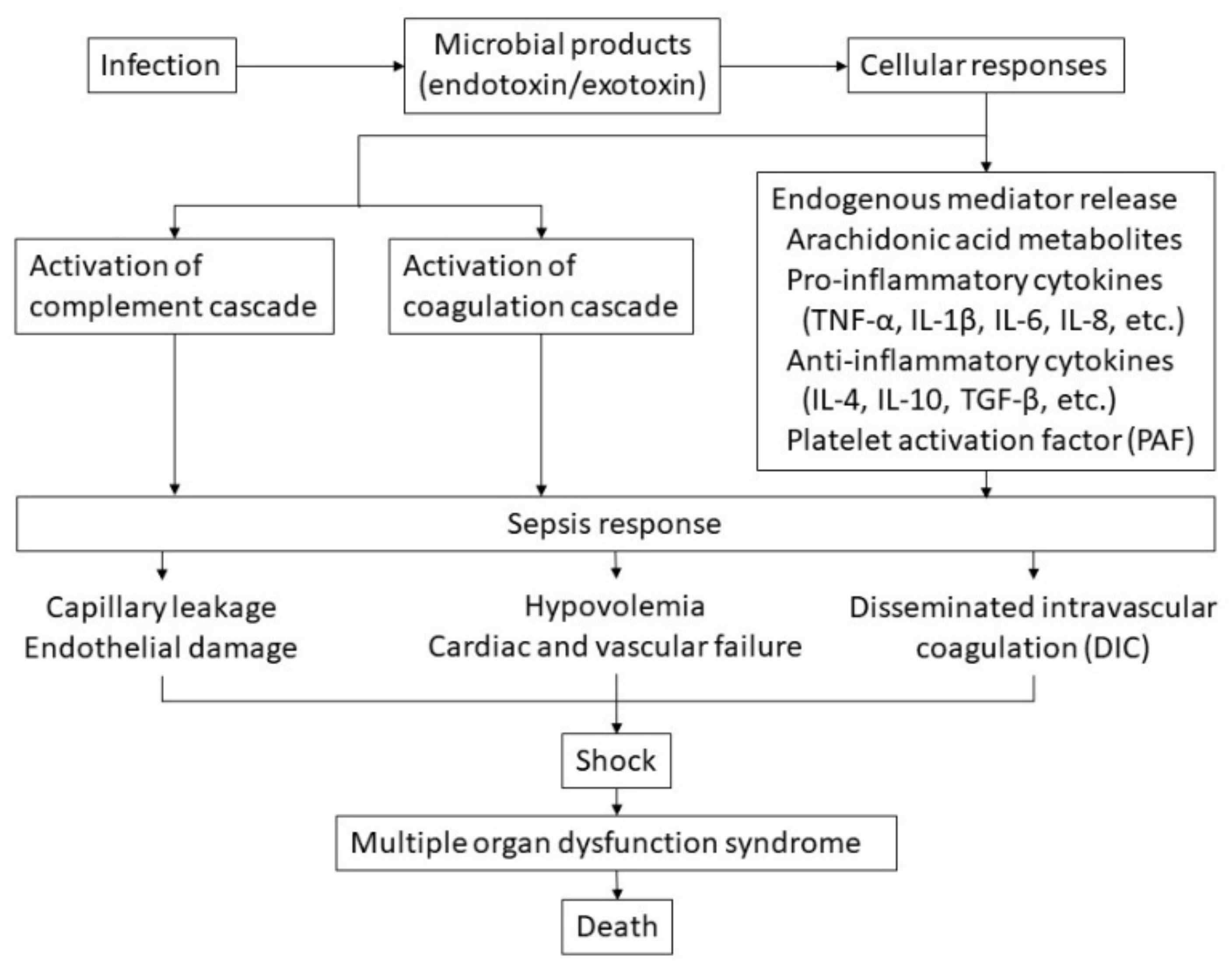 Jcm 11 01240 g001 Jcm 11 01240 g001