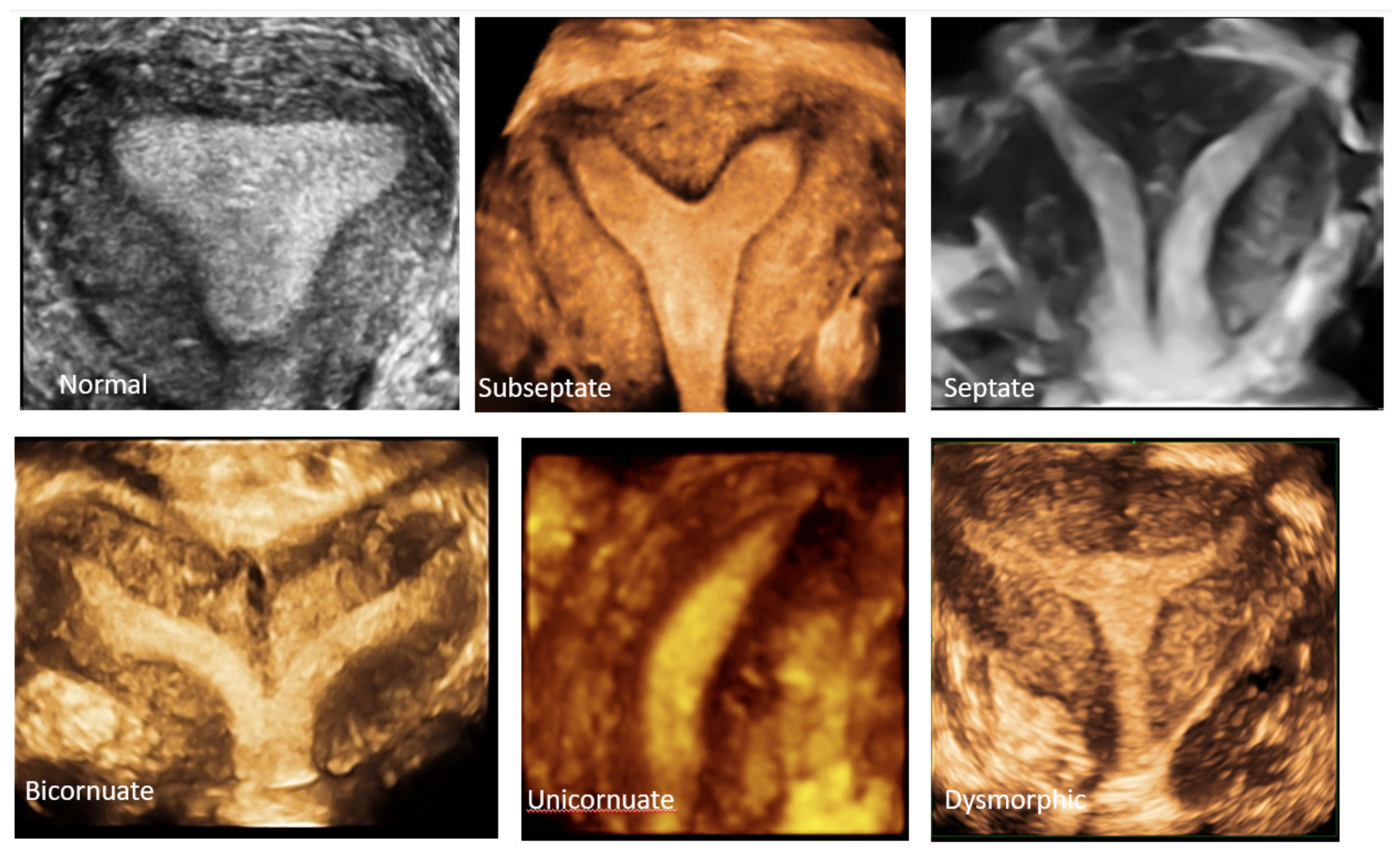 Jcm 11 01251 g008 550