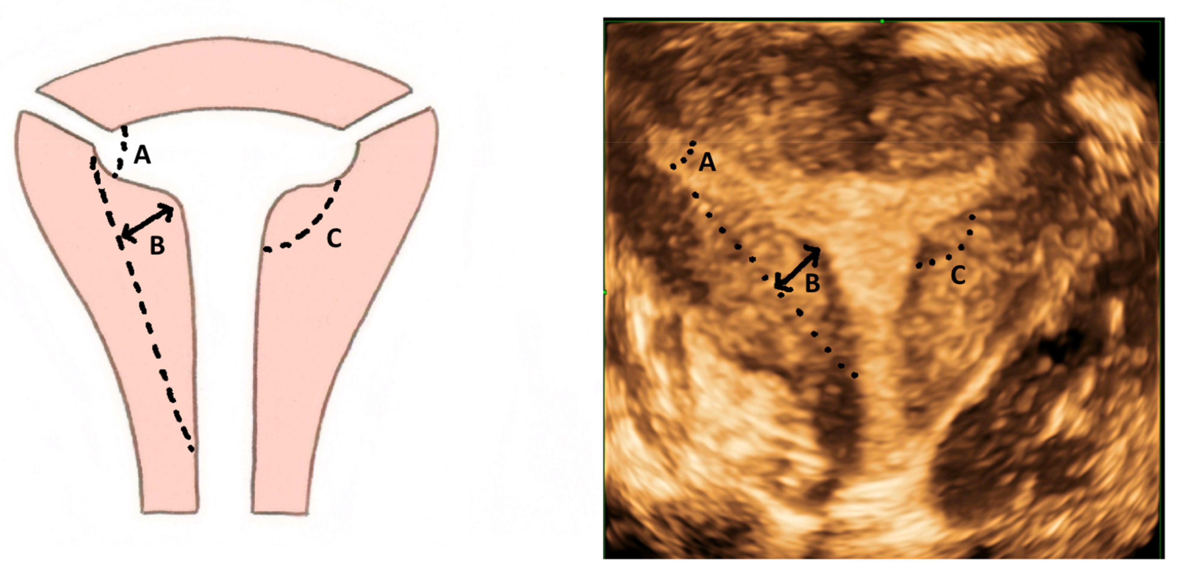 Jcm 11 01251 g010 550