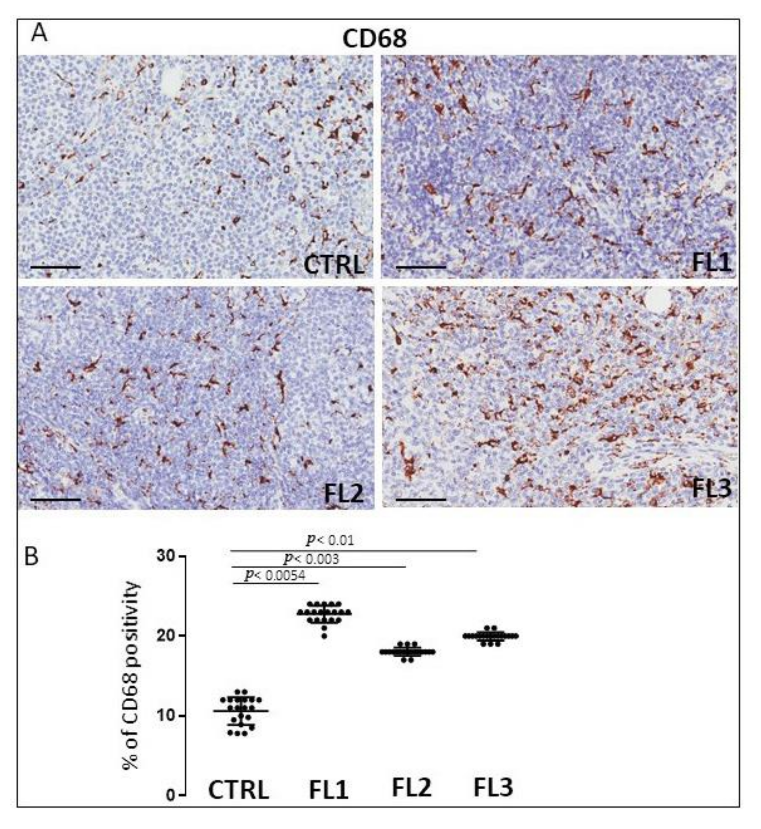 Jcm 11 01257 g001 Jcm 11 01257 g001
