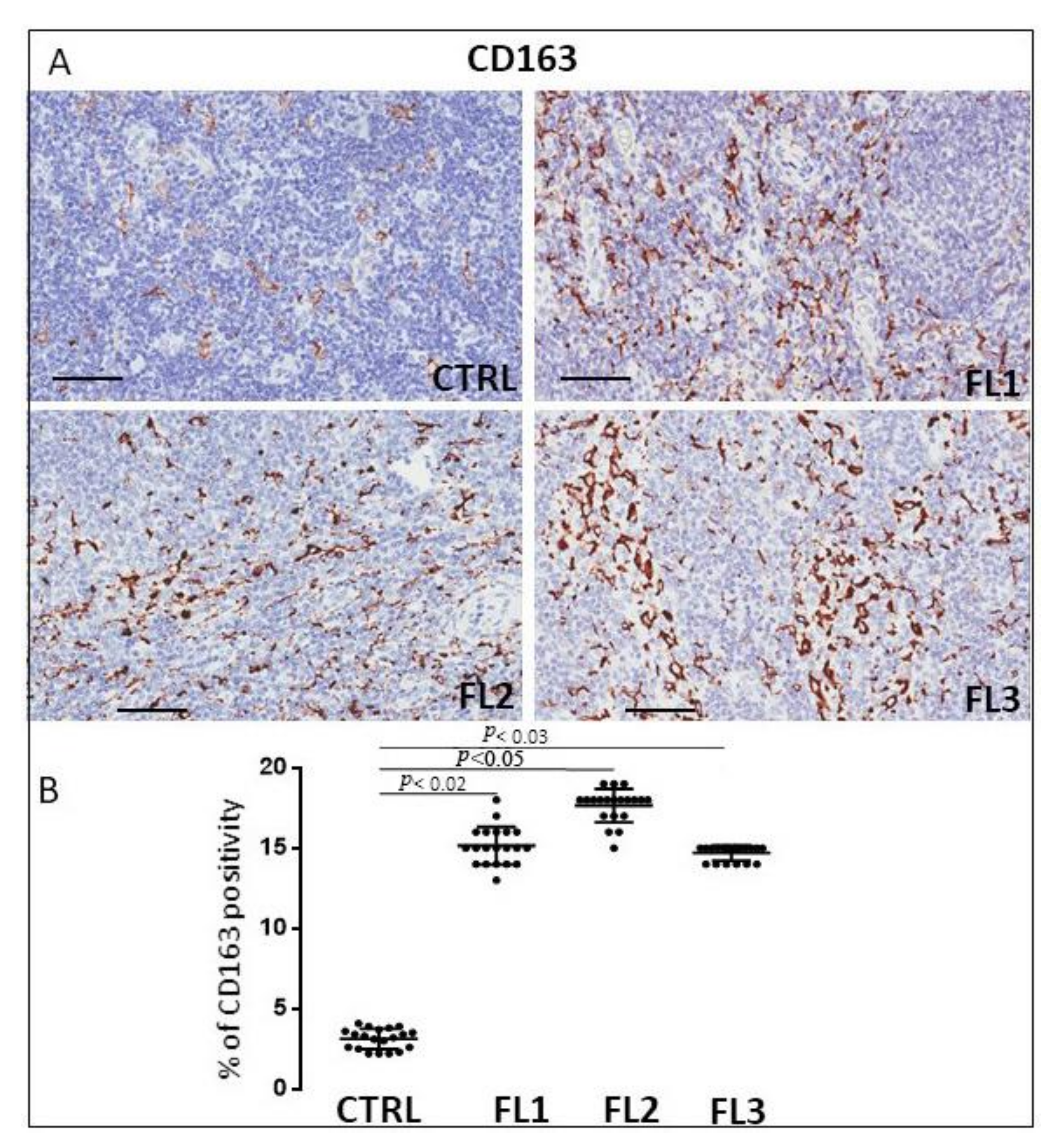 Jcm 11 01257 g002 Jcm 11 01257 g002