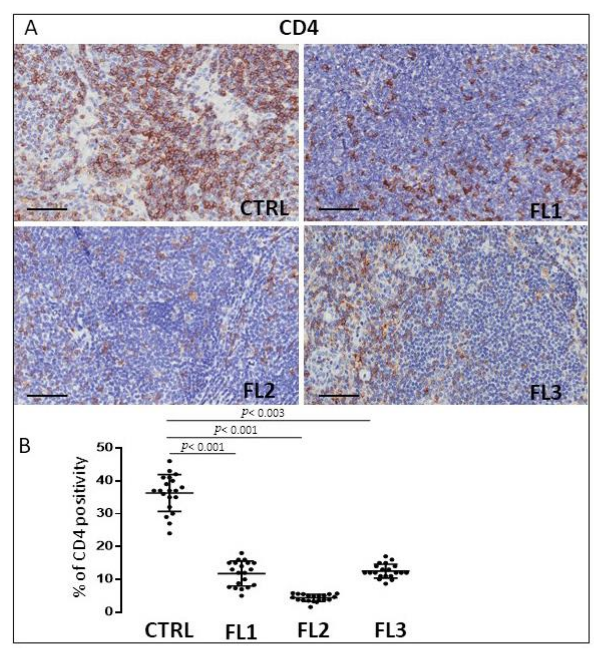 Jcm 11 01257 g004 Jcm 11 01257 g004
