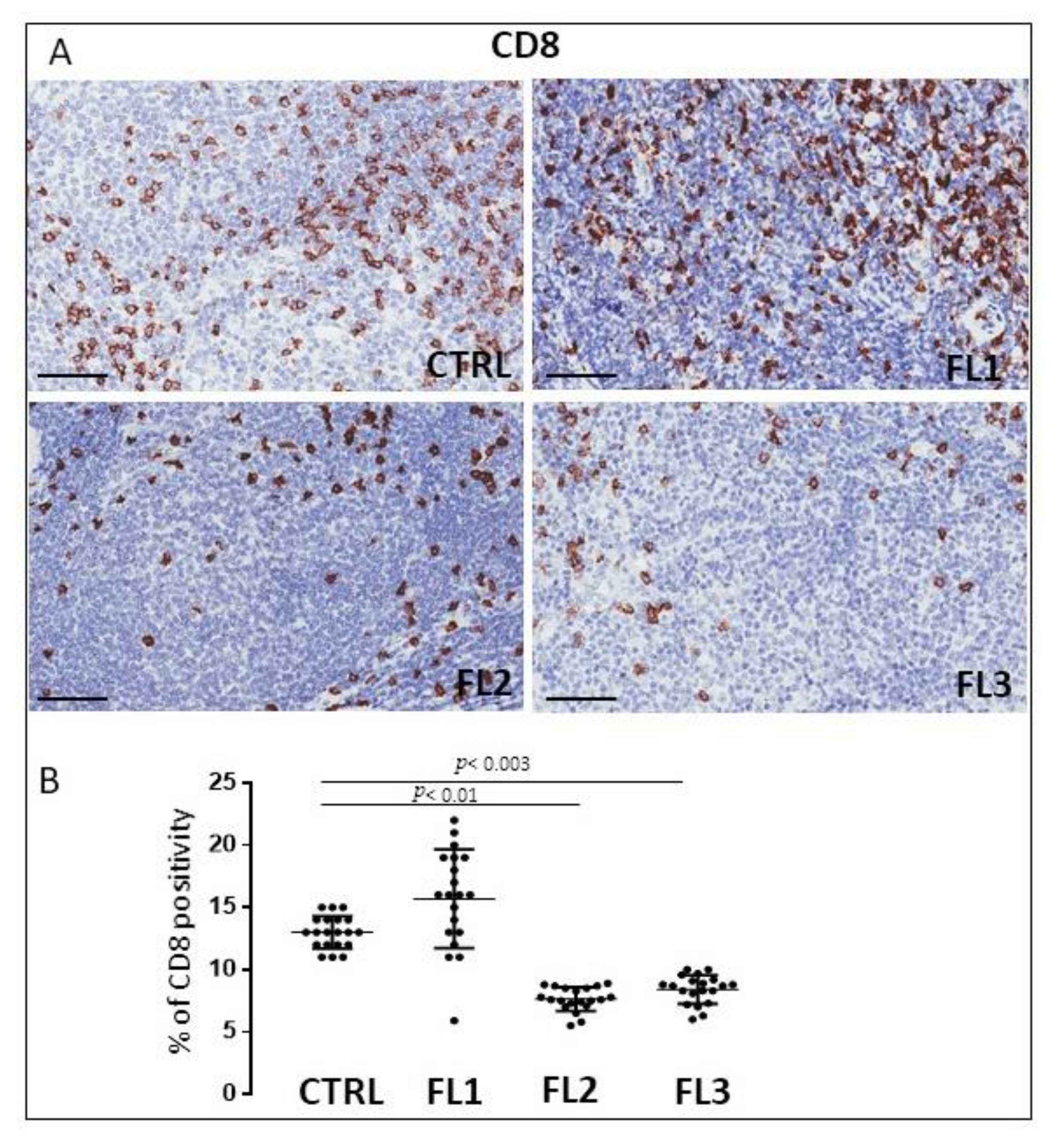 Jcm 11 01257 g005 Jcm 11 01257 g005