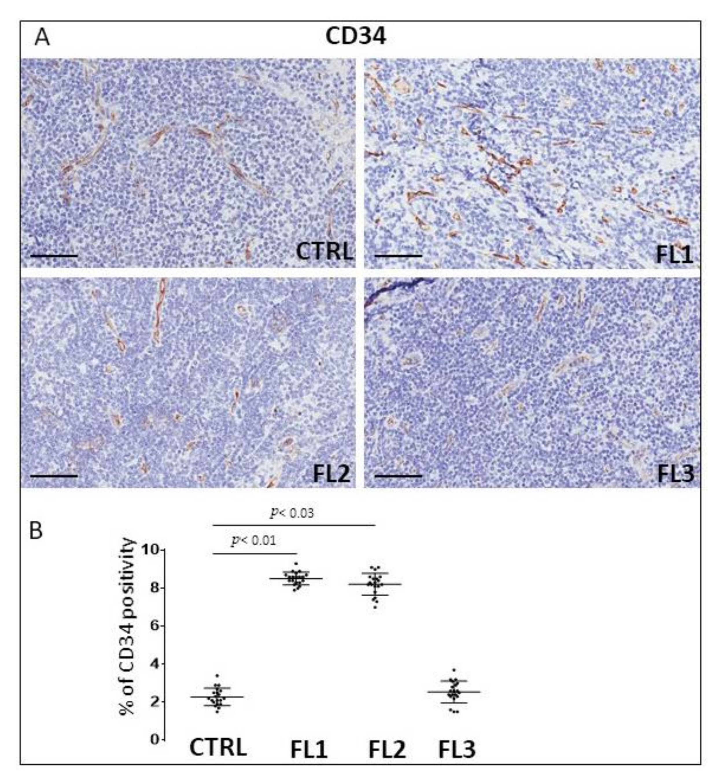 Jcm 11 01257 g006 Jcm 11 01257 g006