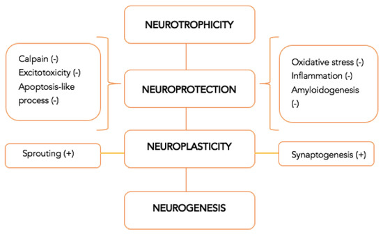 Role and Impact of Cerebrolysin for Ischemic Stroke Care