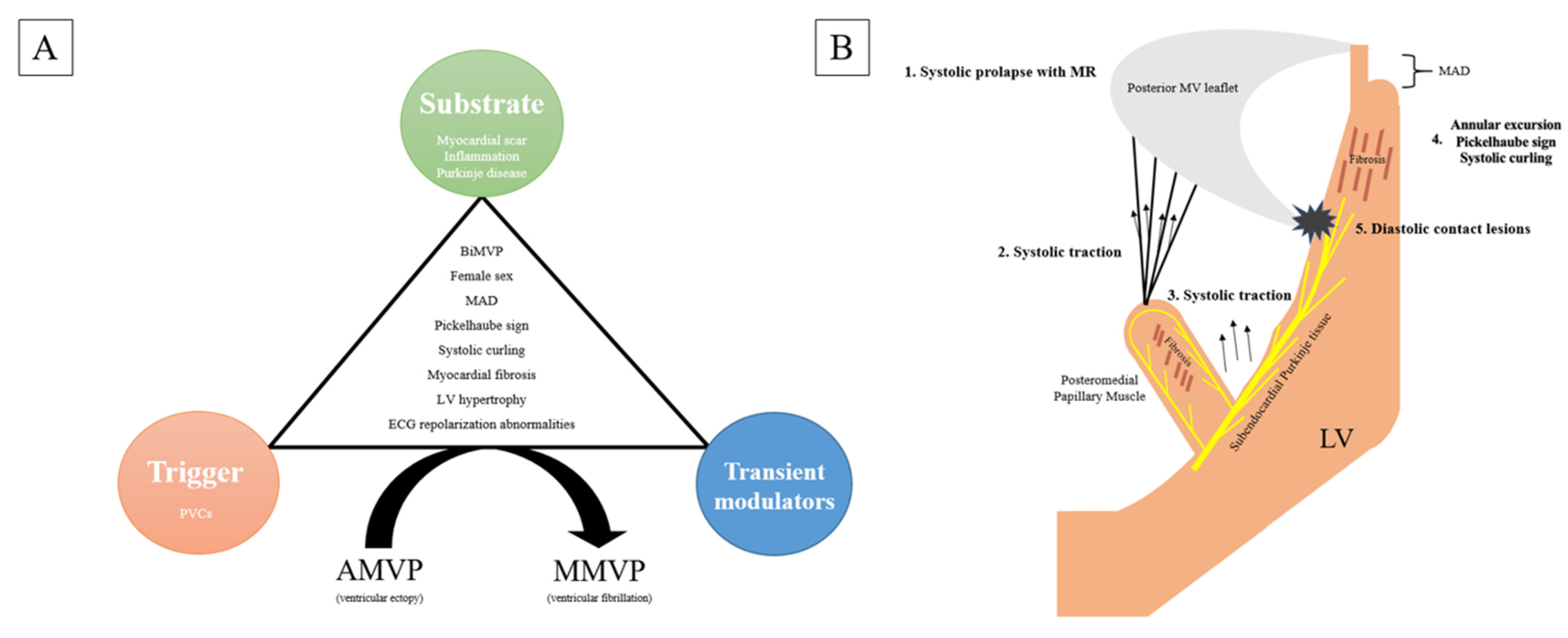 Jcm 11 01285 g002 Jcm 11 01285 g002