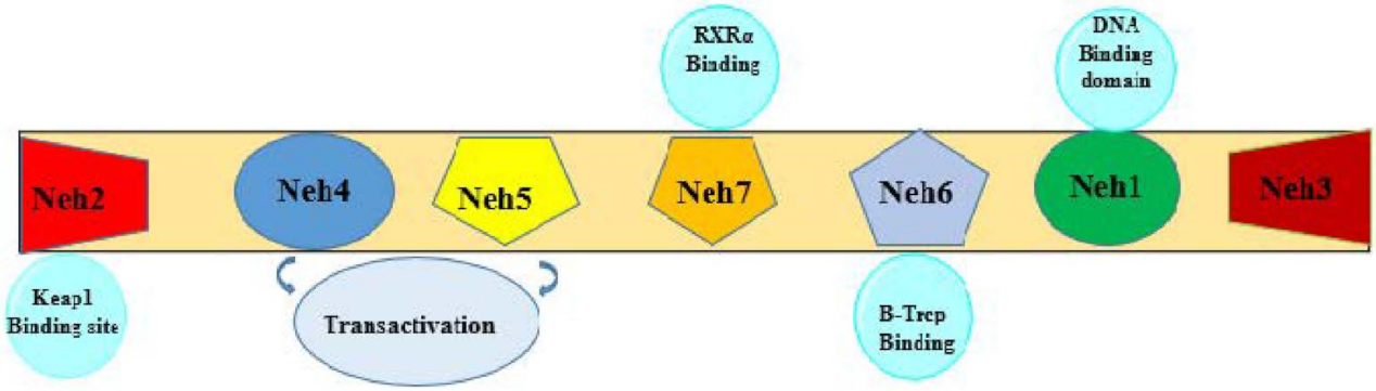 Jcm 11 01313 g001 Jcm 11 01313 g001