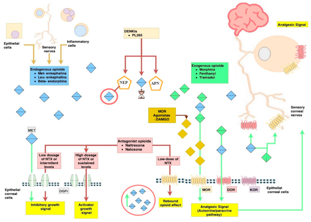 Jcm 11 01424 g001 Jcm 11 01424 g001
