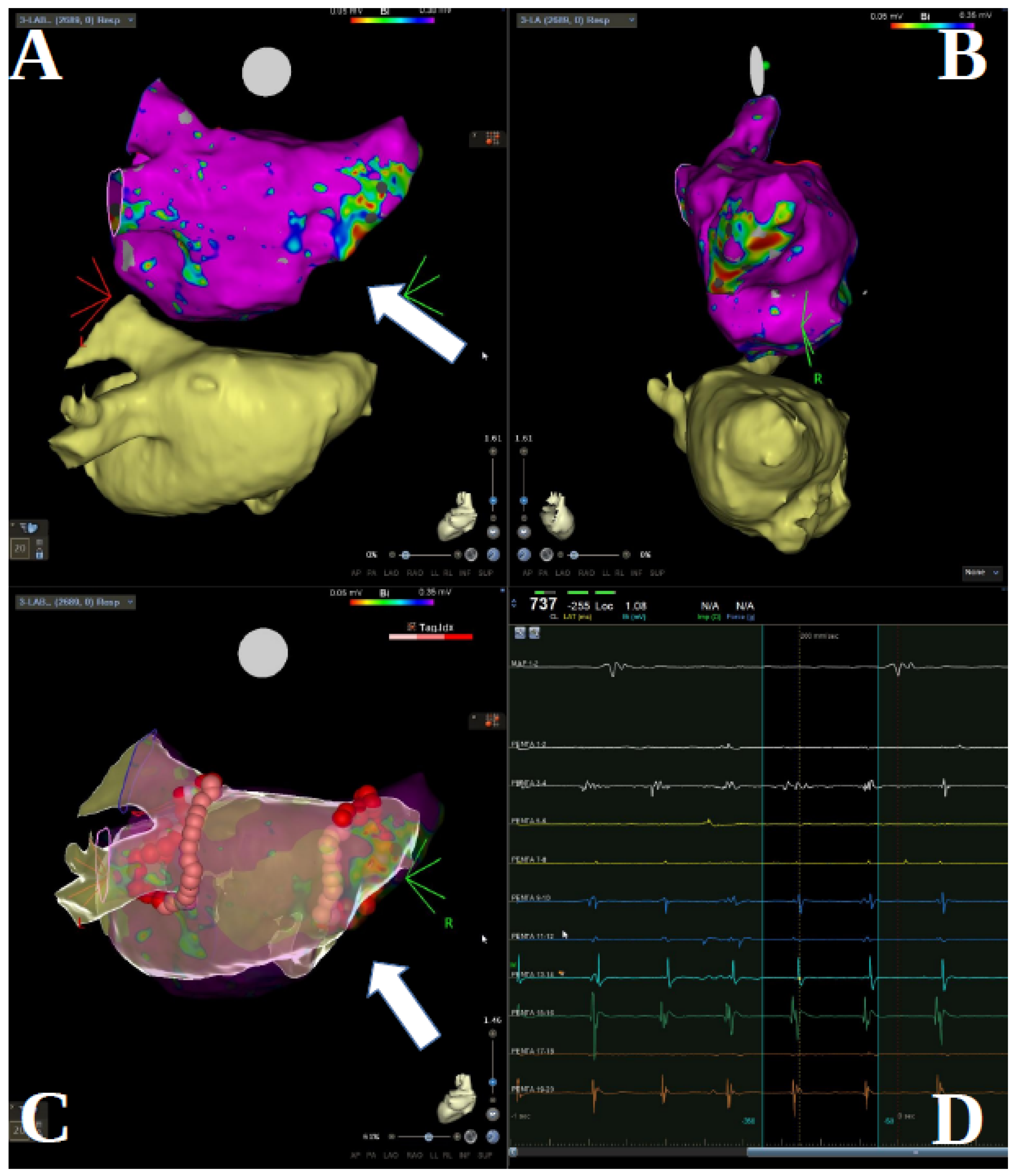 Jcm 11 01481 g001 Jcm 11 01481 g001