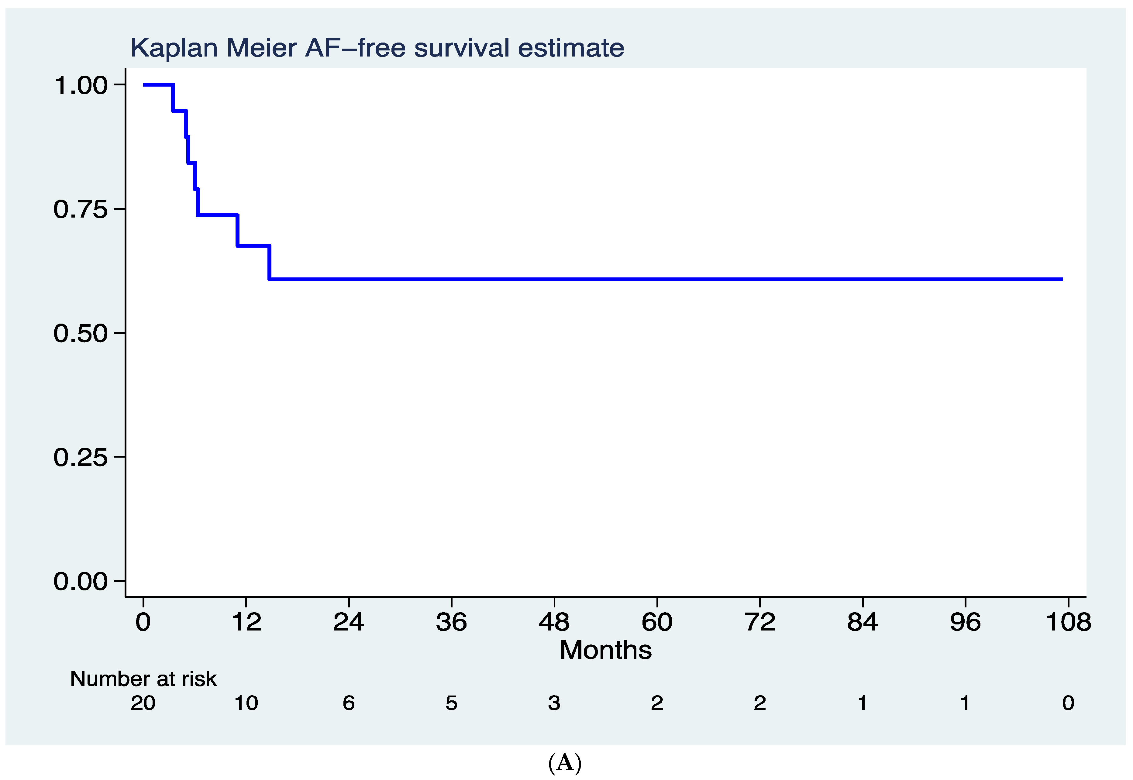 Jcm 11 01481 g002a Jcm 11 01481 g002a