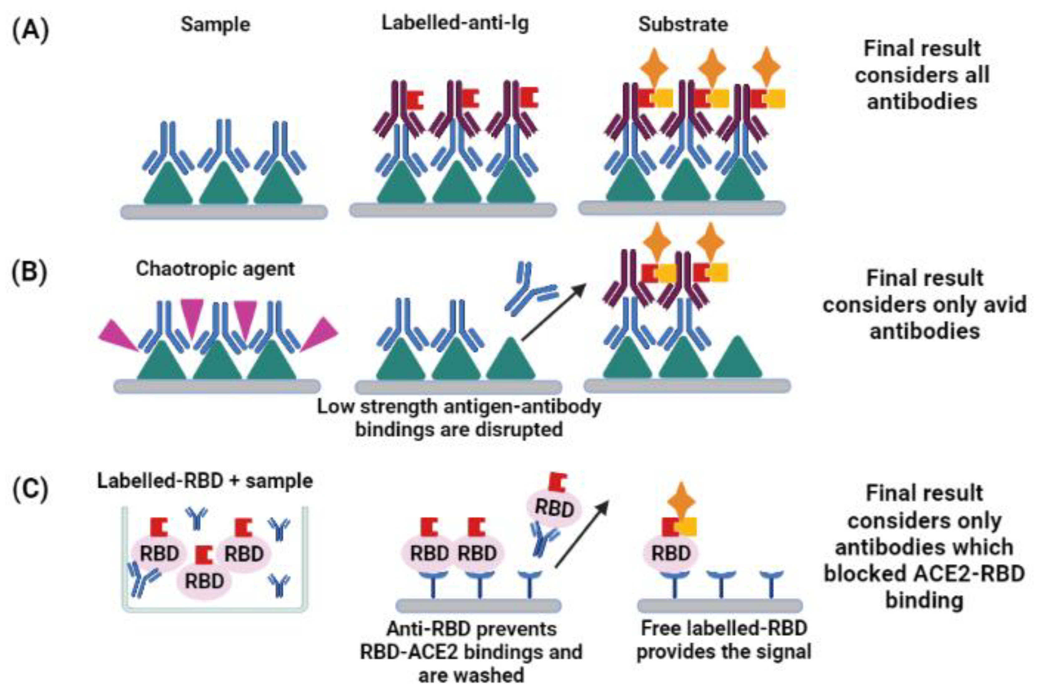 Jcm 11 01503 g002 550