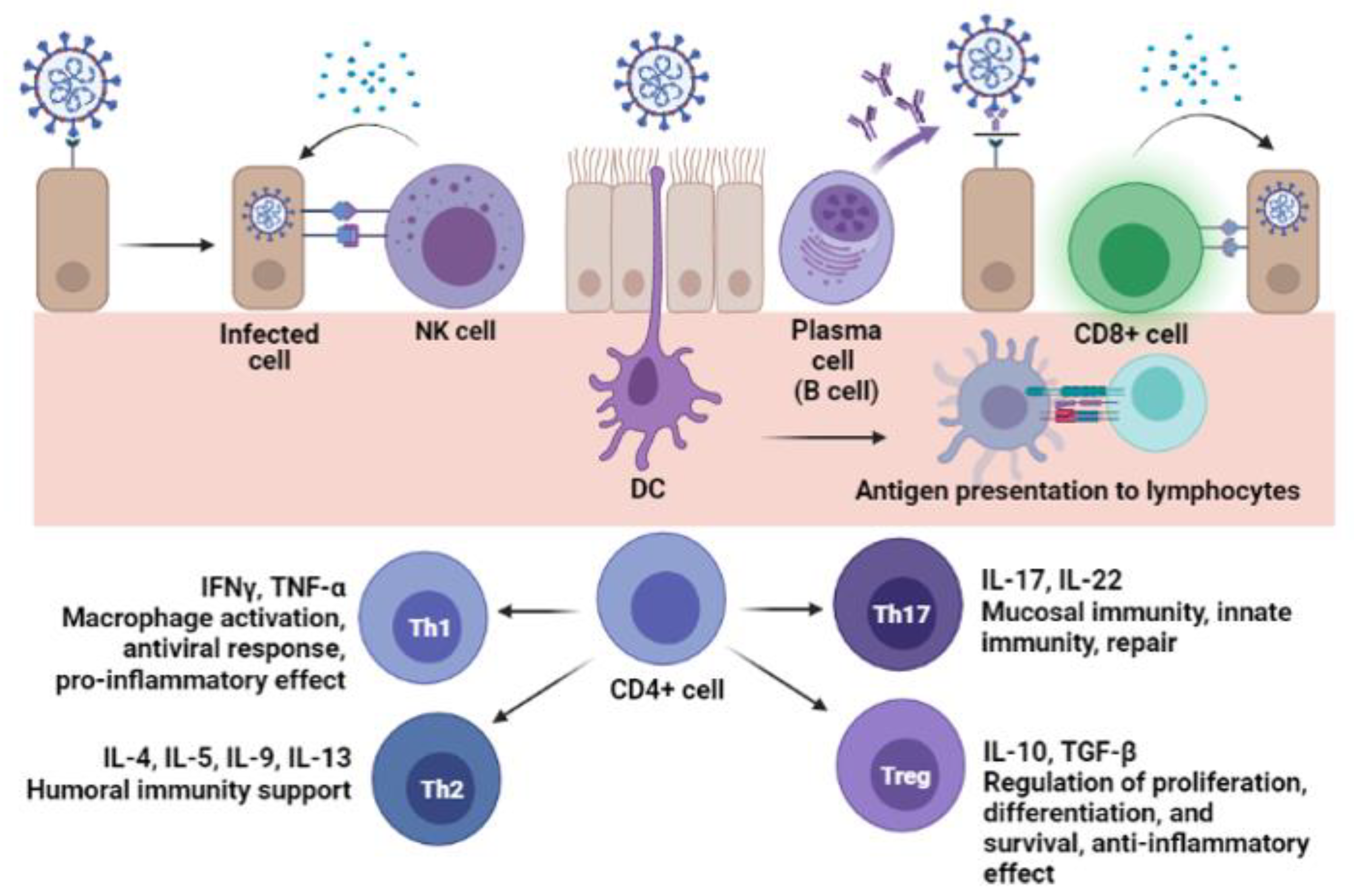 Jcm 11 01503 g003 550
