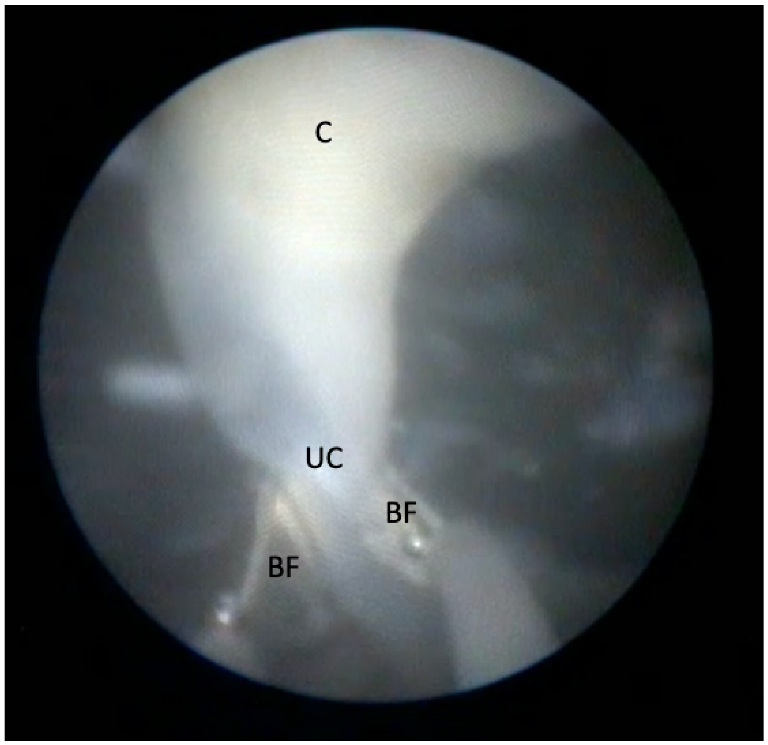 Jcm 11 01516 g001 550