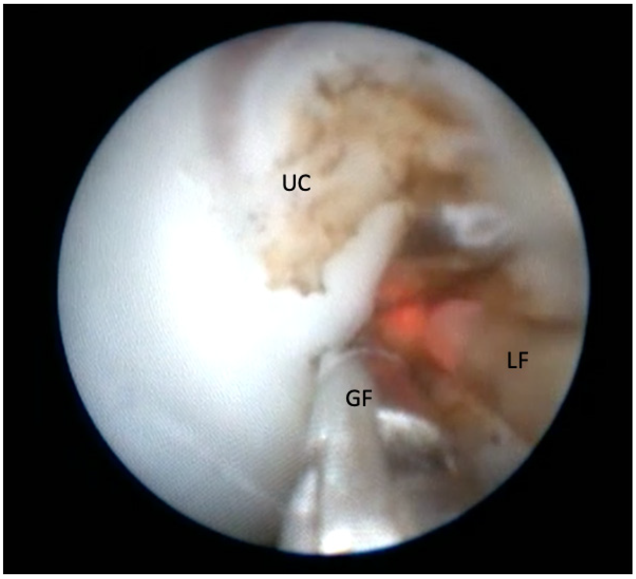 Jcm 11 01516 g002 550