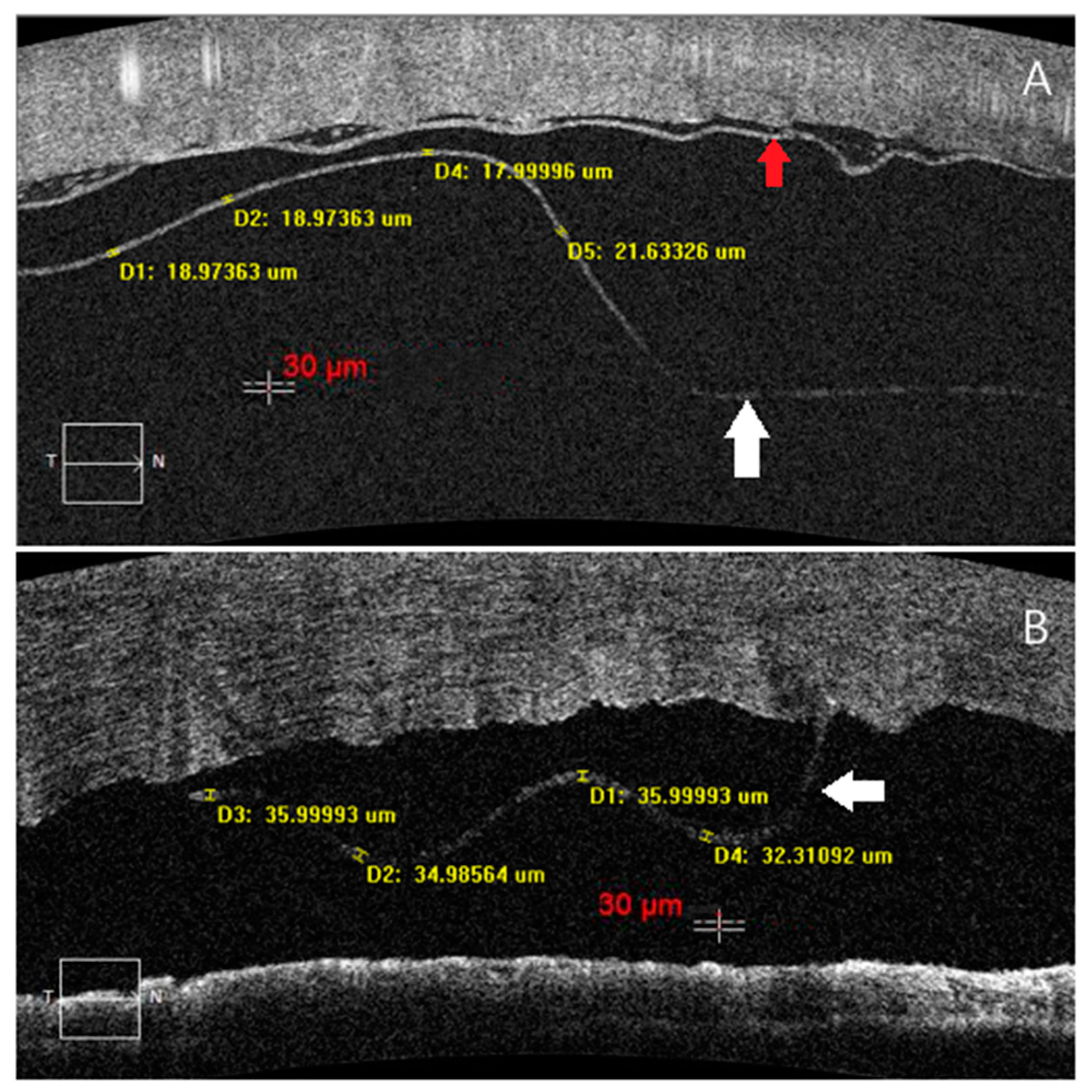 Jcm 11 01534 g003 550
