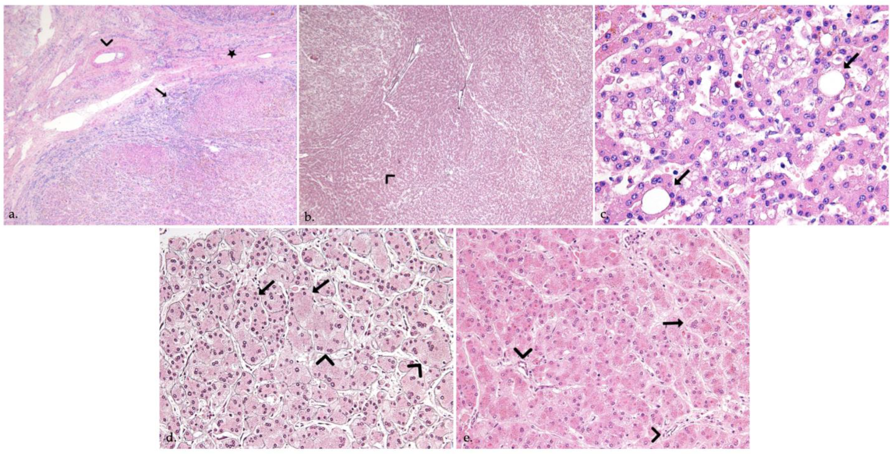 Jcm 11 01578 g004 Jcm 11 01578 g004