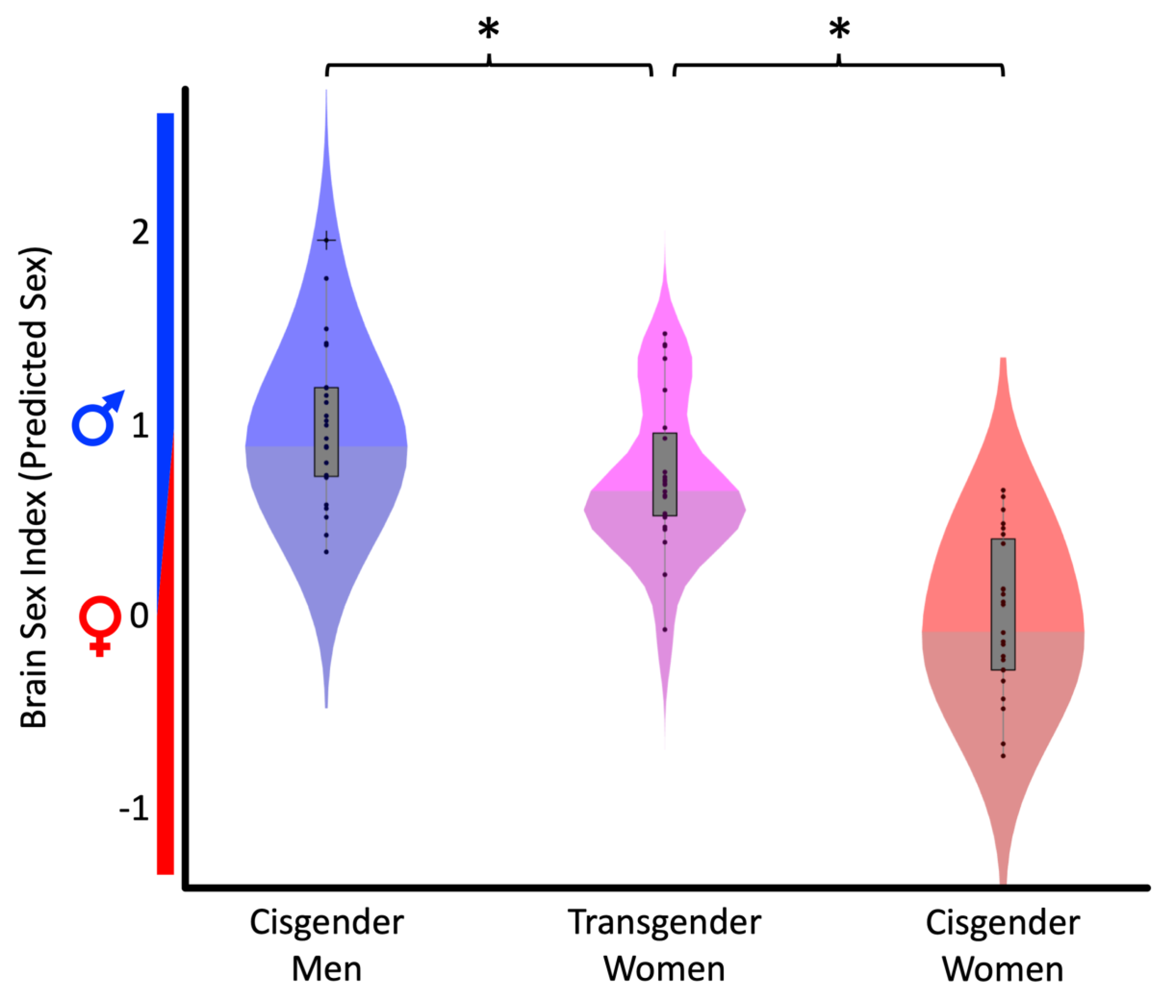 JCM Free Full-Text Brain Sex in Transgender Women Is Shifted towards Gender Identity picture