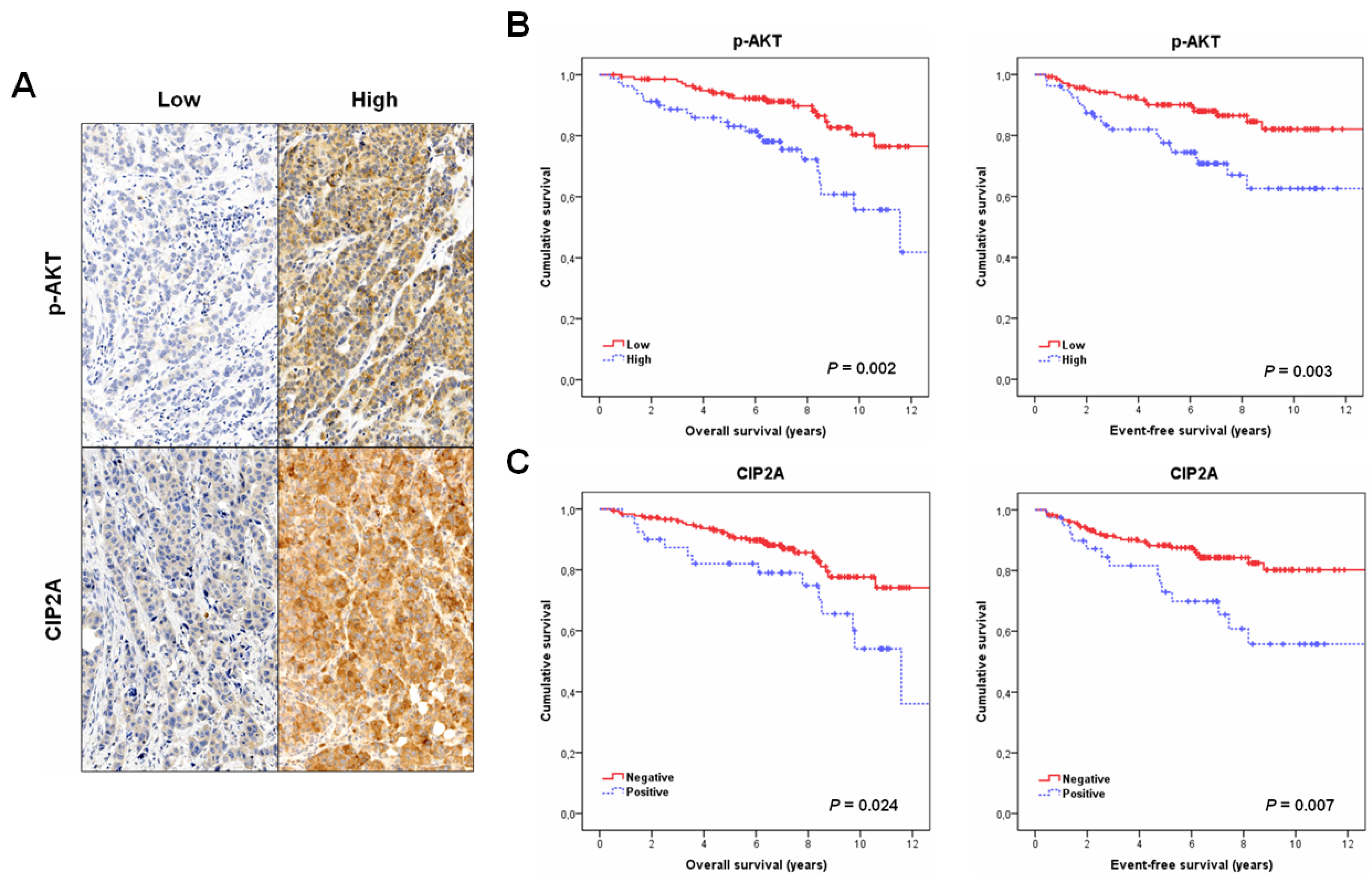 Jcm 11 01610 g001 550
