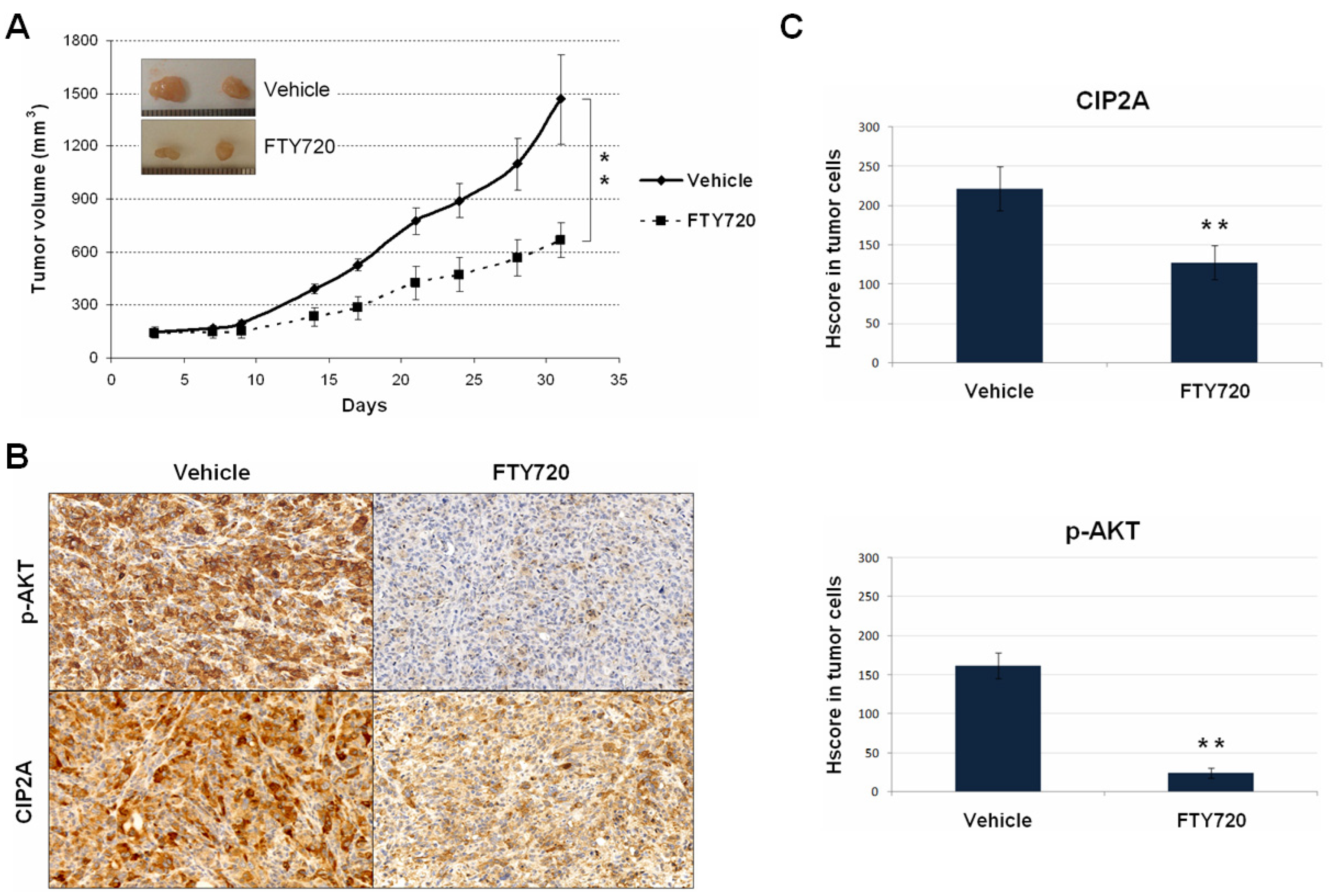 Jcm 11 01610 g003 550