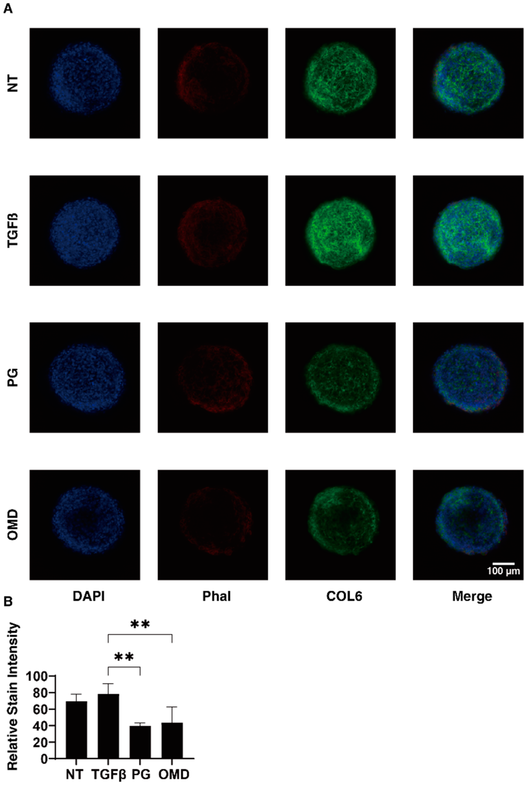 Jcm 11 01652 g005 Jcm 11 01652 g005