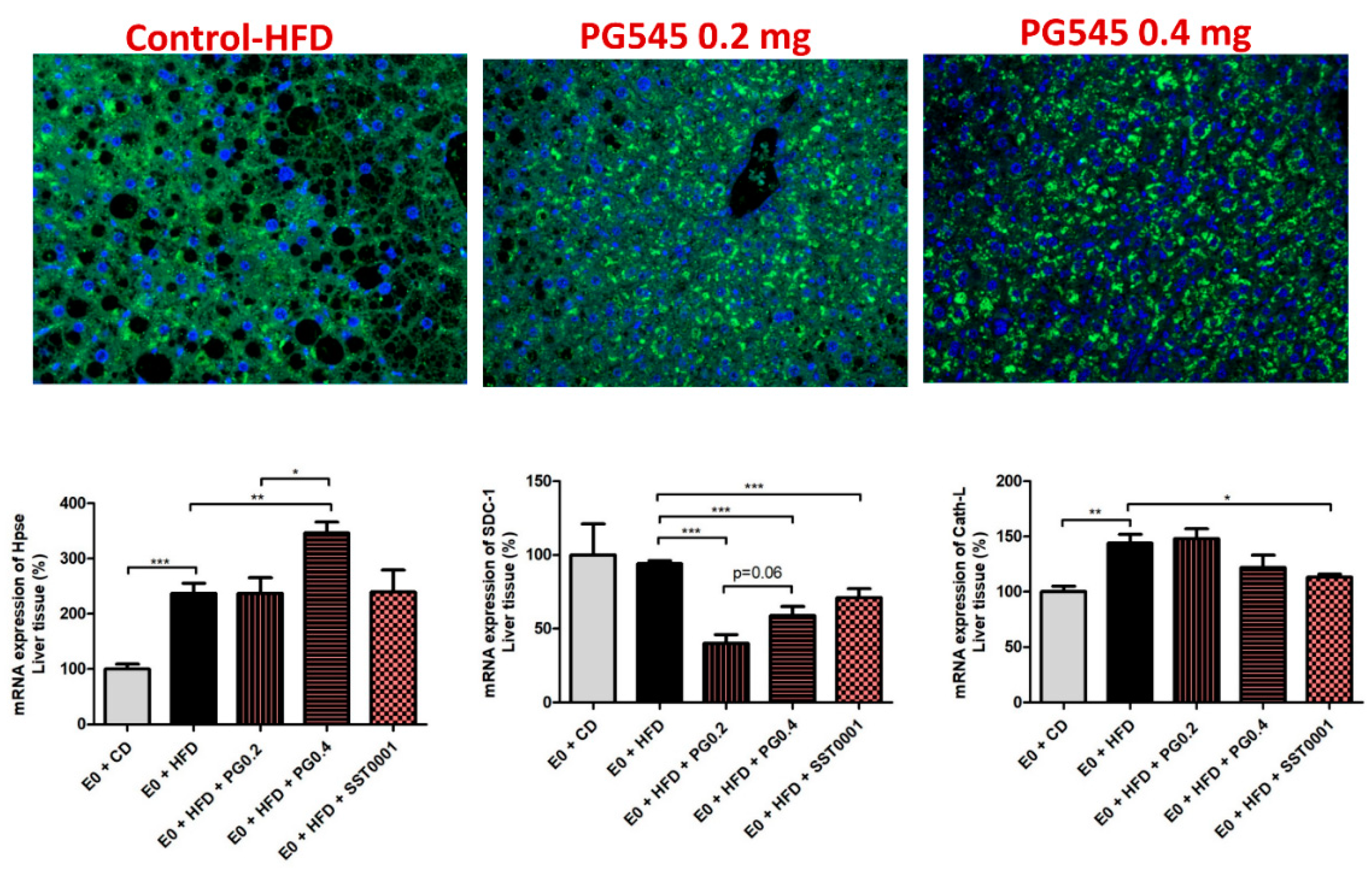 Jcm 11 01672 g008 550