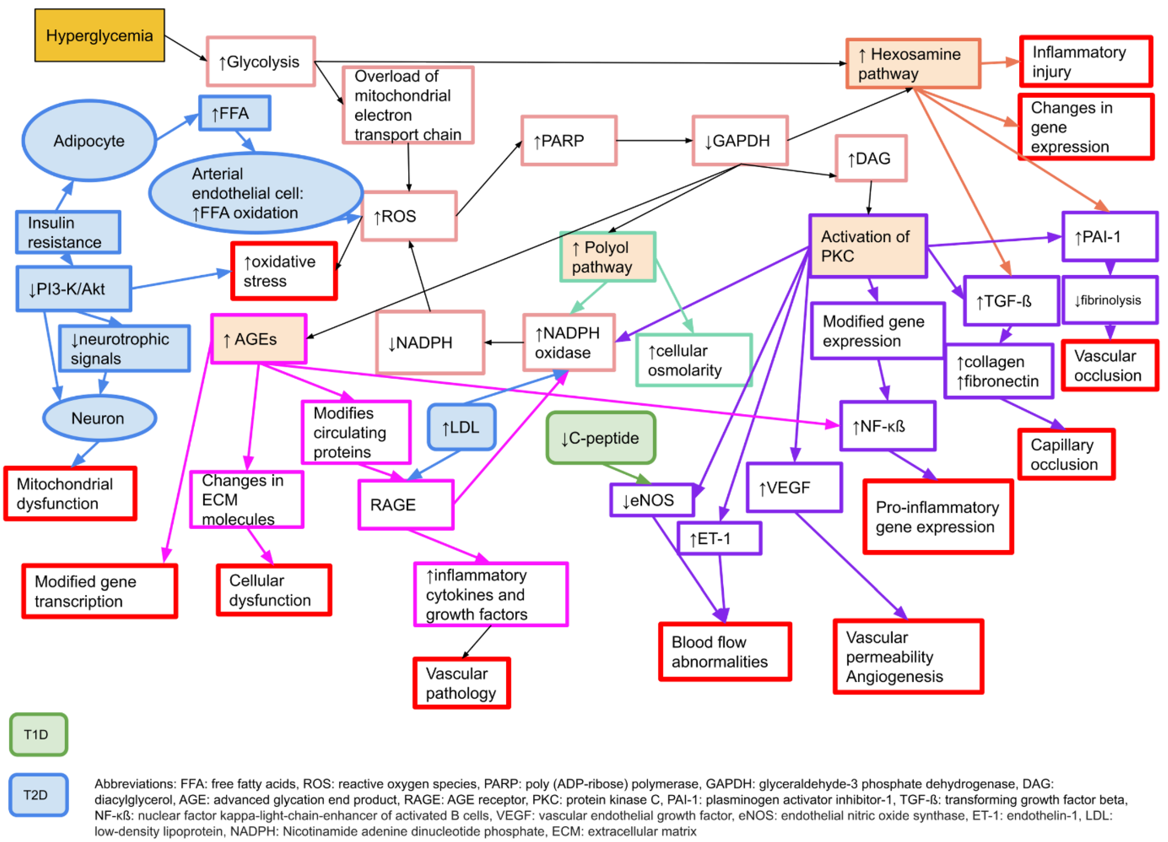 Jcm 11 01674 g001 Jcm 11 01674 g001