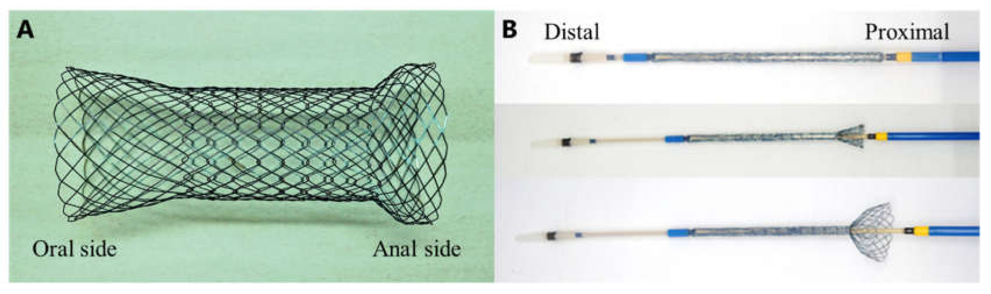 Jcm 11 01675 g001 Jcm 11 01675 g001