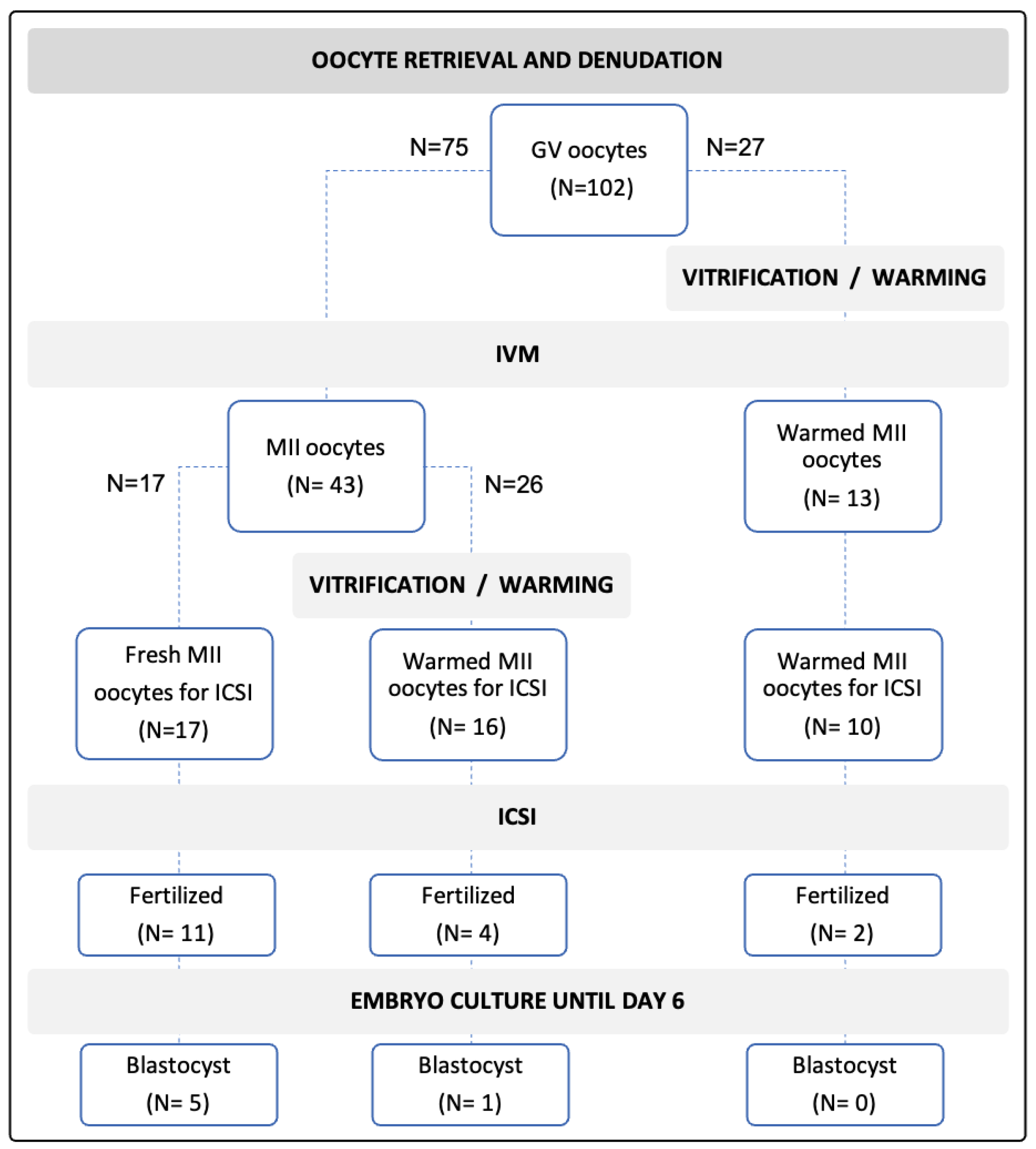 Jcm 11 01703 g001 Jcm 11 01703 g001