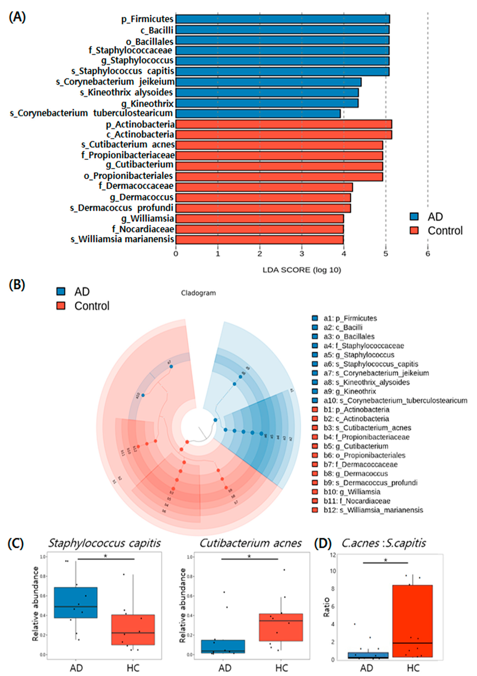 Jcm 11 01735 g004 Jcm 11 01735 g004
