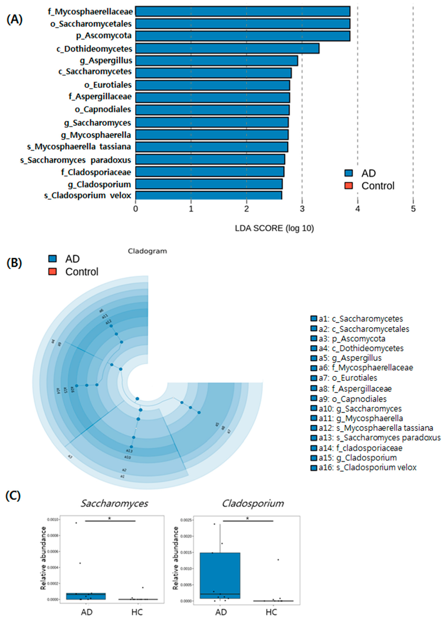 Jcm 11 01735 g005 Jcm 11 01735 g005