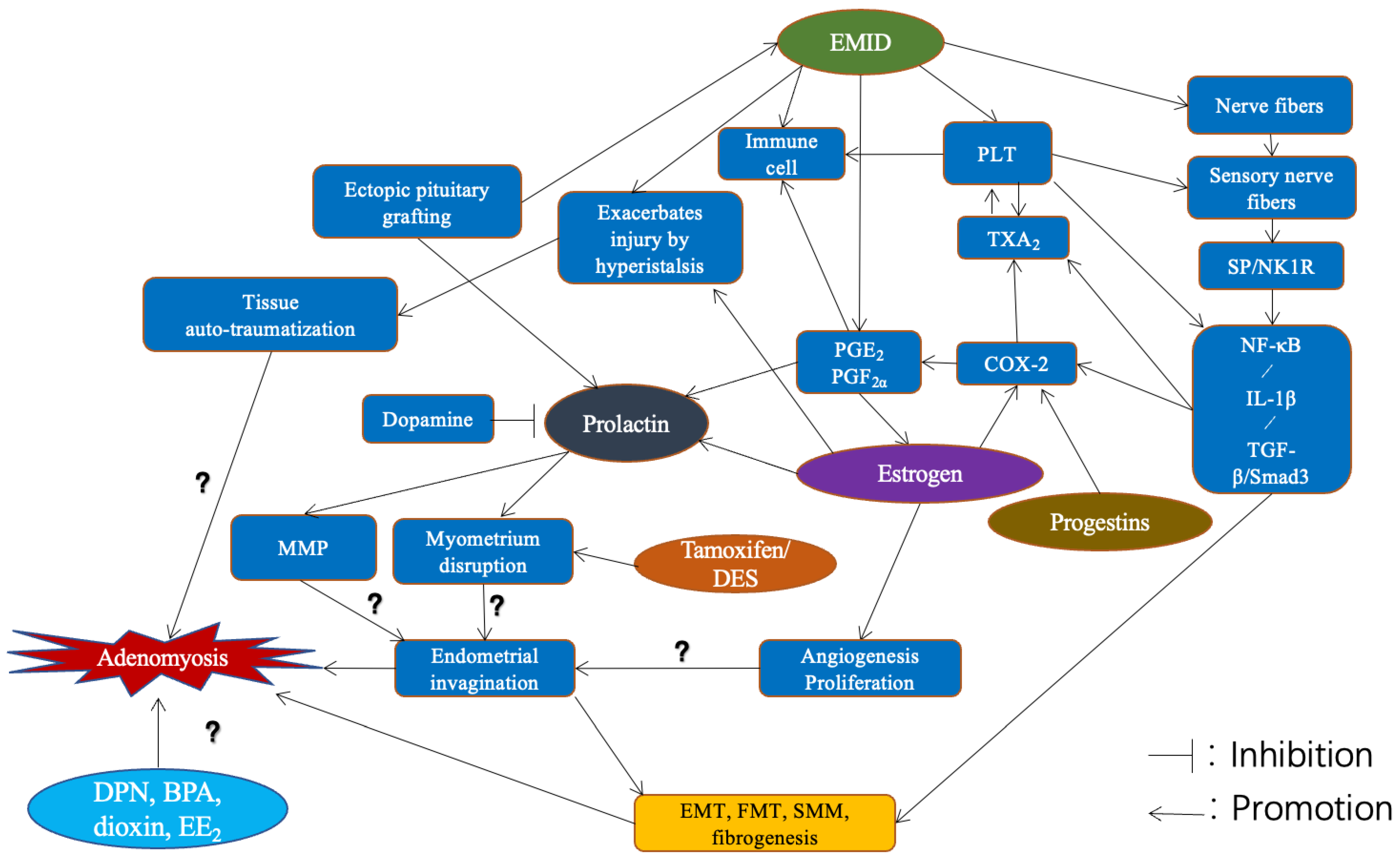 Jcm 11 01744 g003 Jcm 11 01744 g003
