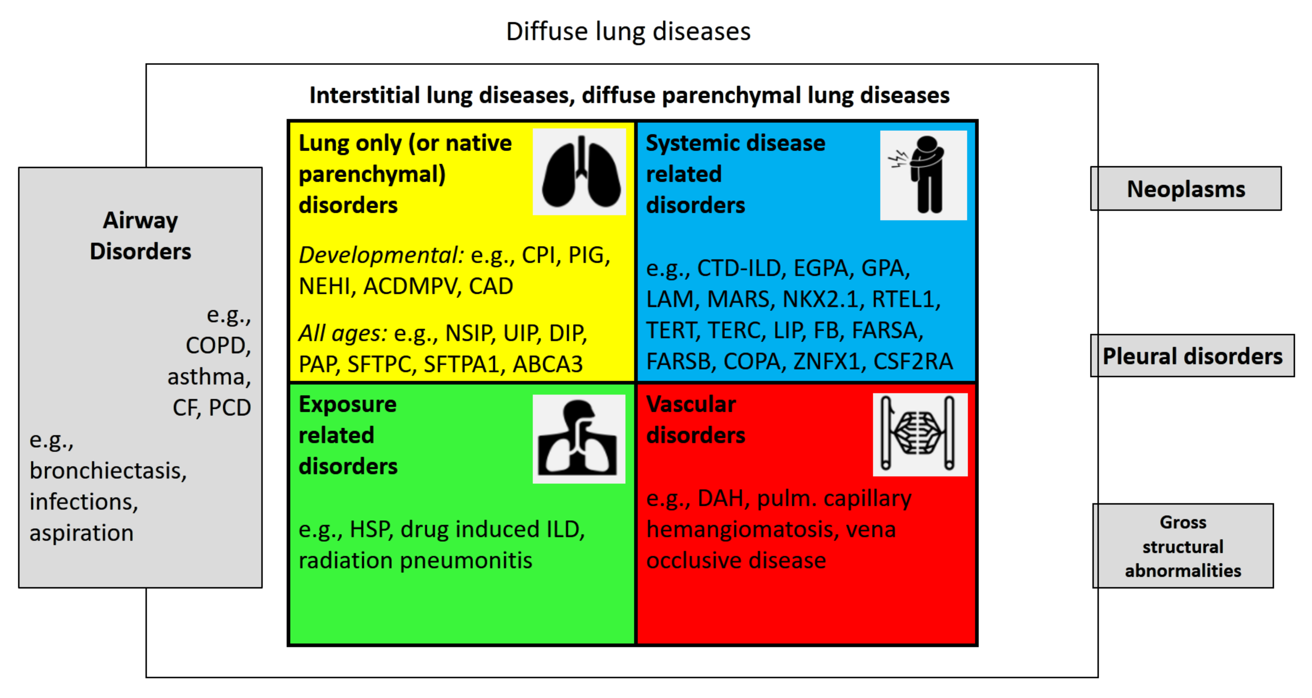 JCM Free FullText Etiologic Classification of Diffuse Parenchymal