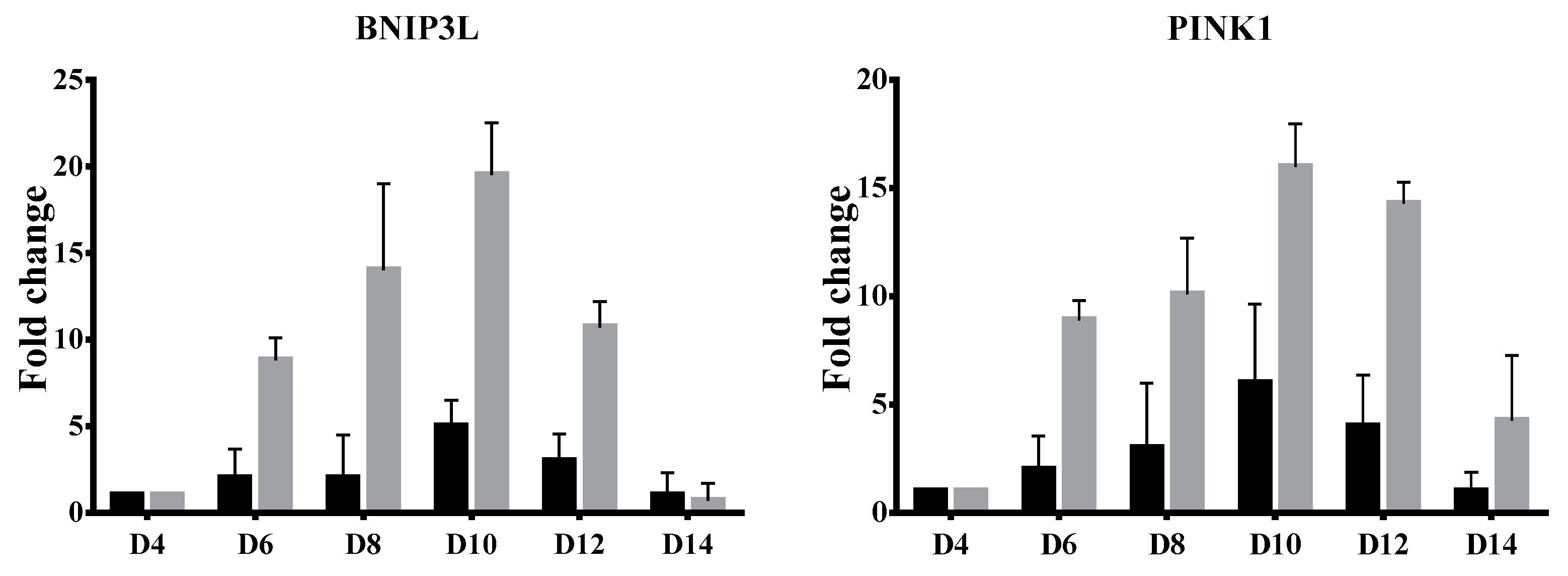 Jcm 11 01755 g002 550