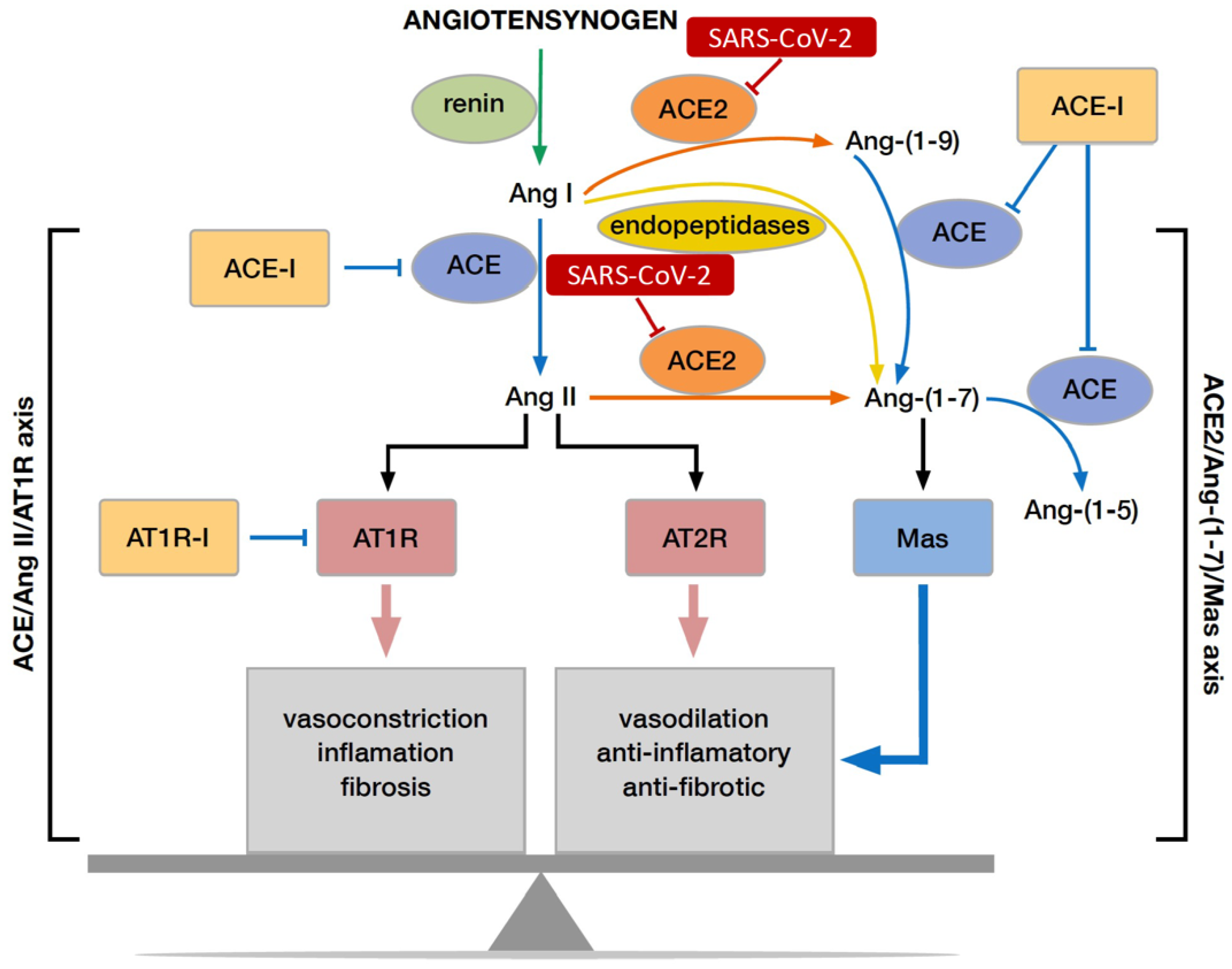 Jcm 11 01769 g001 Jcm 11 01769 g001