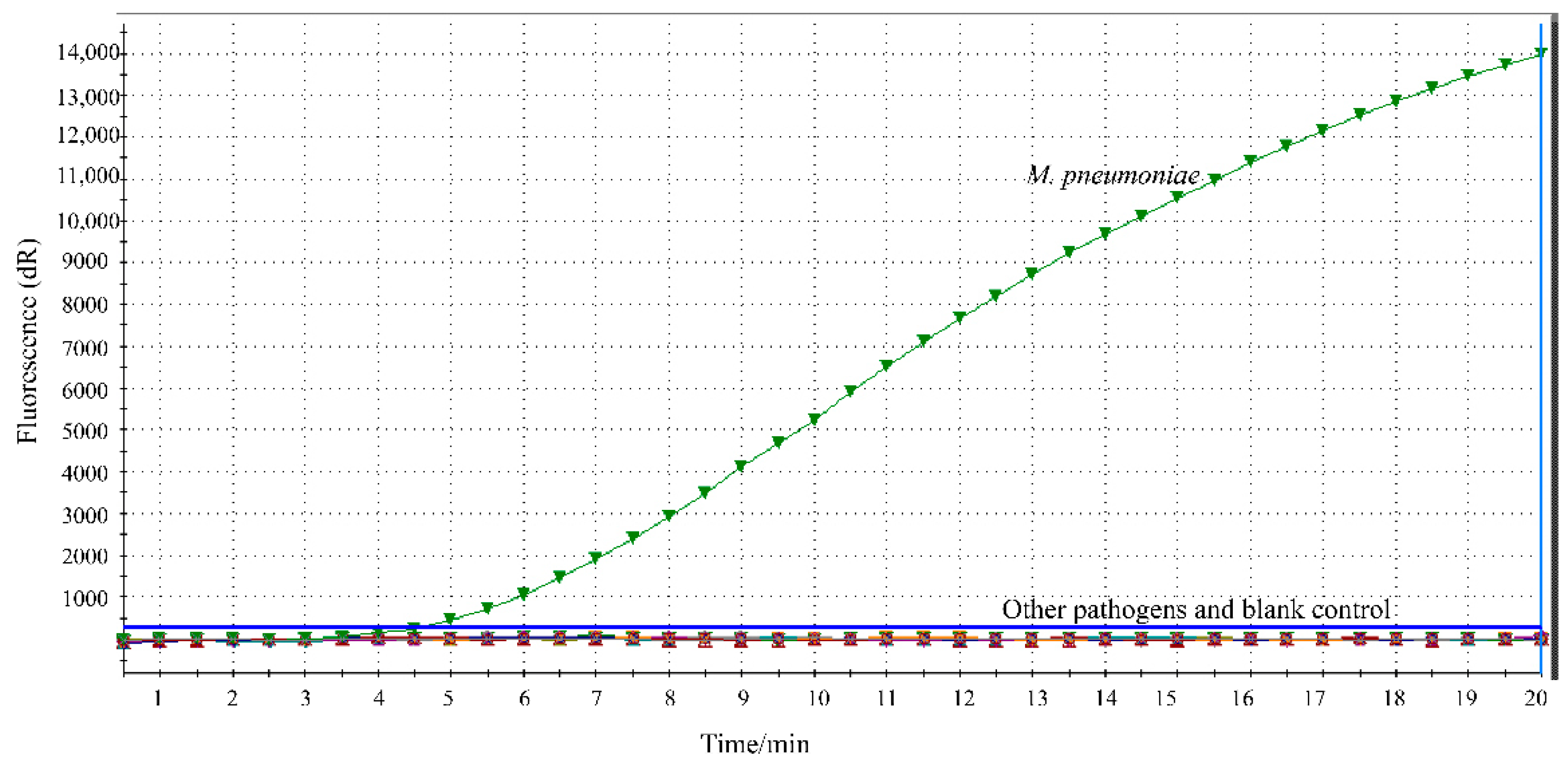 Jcm 11 01780 g002 Jcm 11 01780 g002