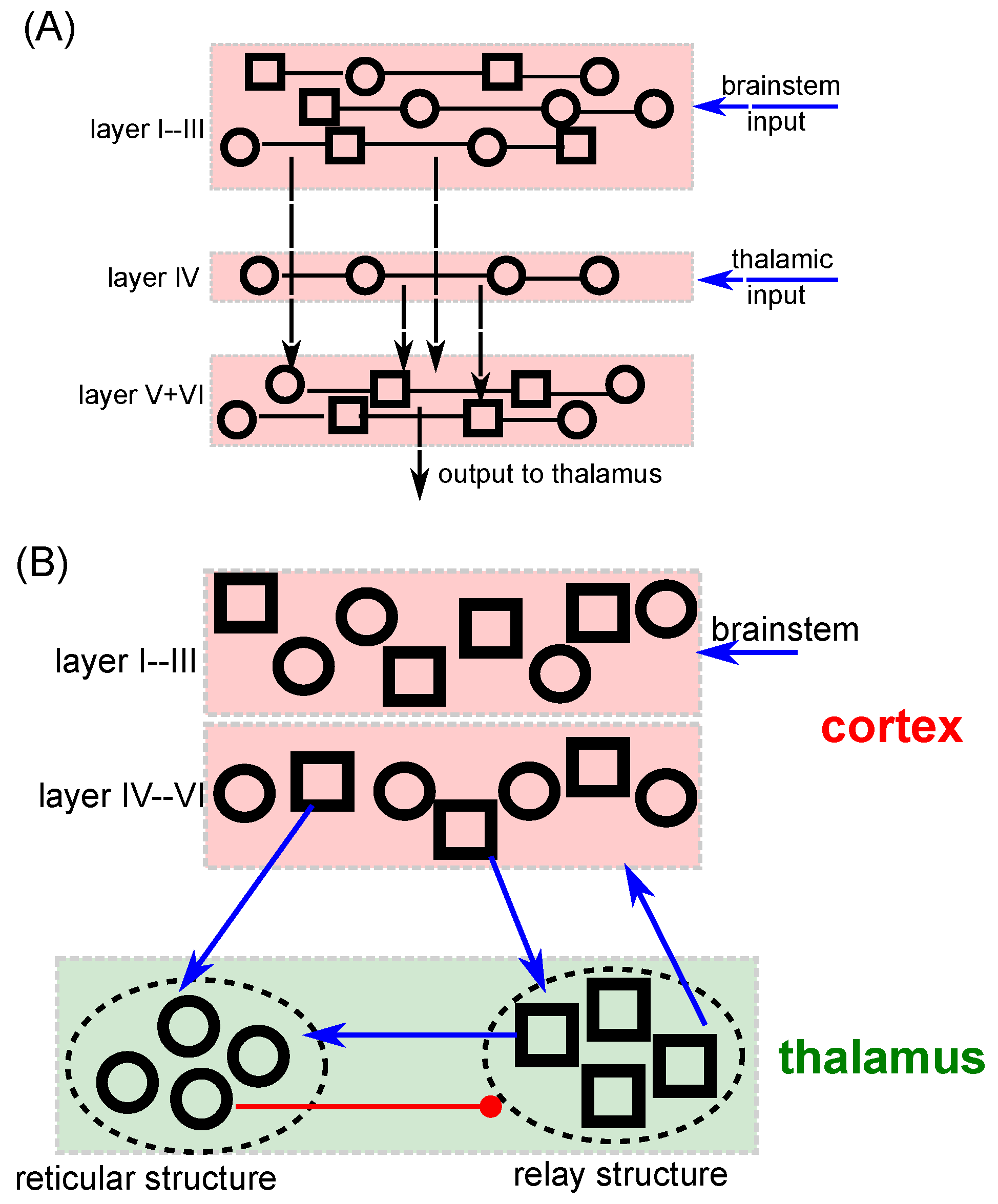 Jcm 11 01845 g001 550