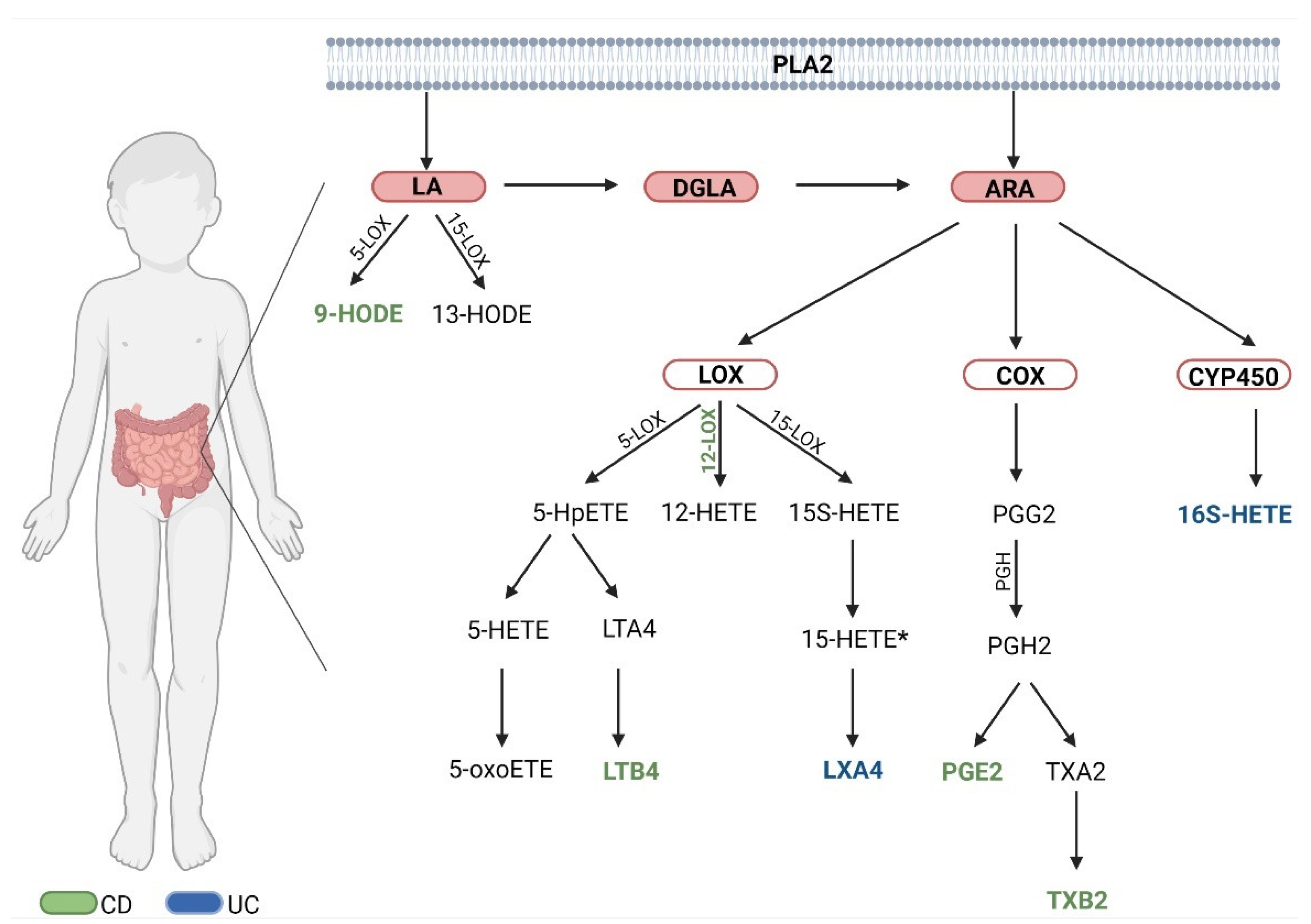 Jcm 11 01861 g001 Jcm 11 01861 g001