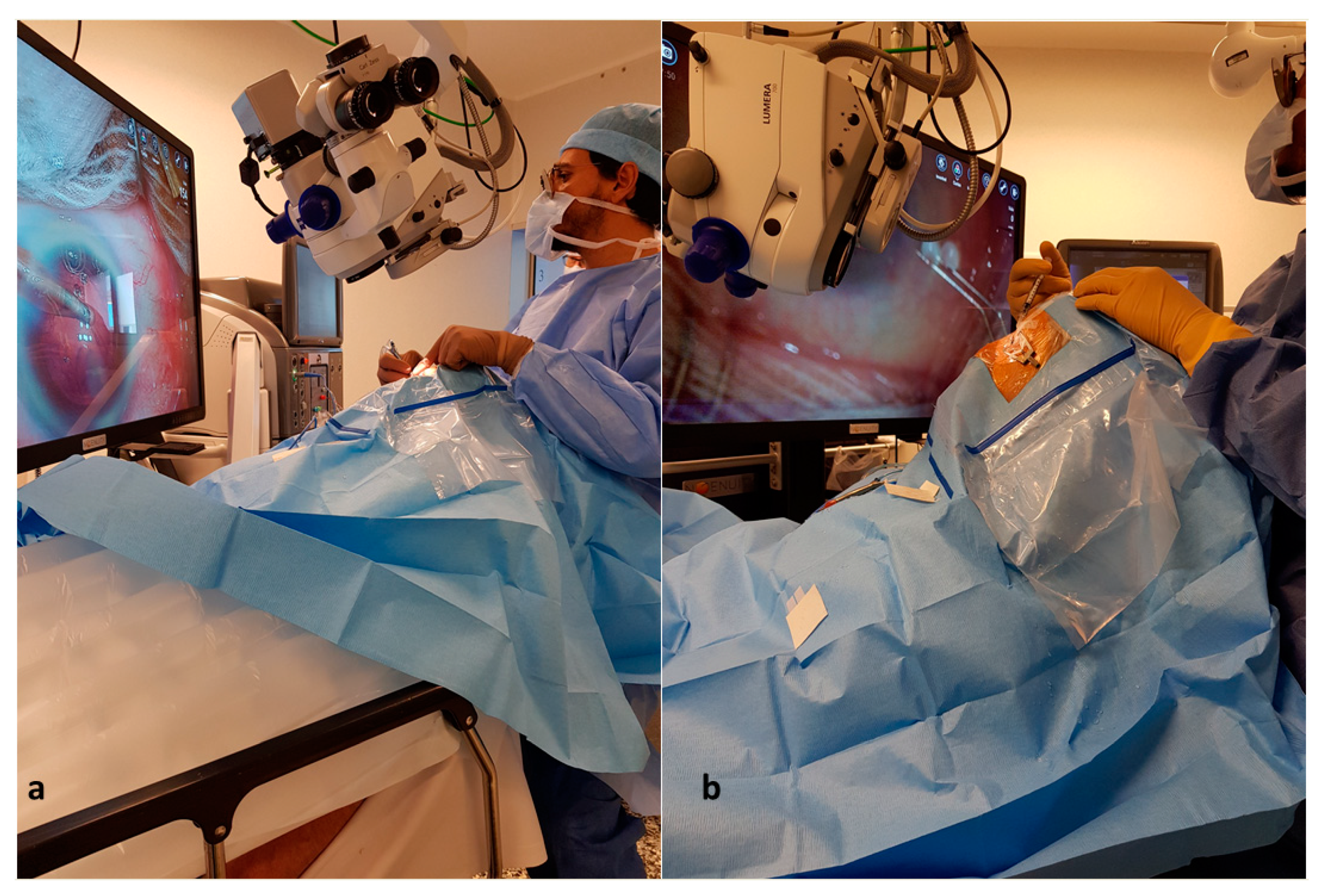 Jcm 11 01865 g002 550