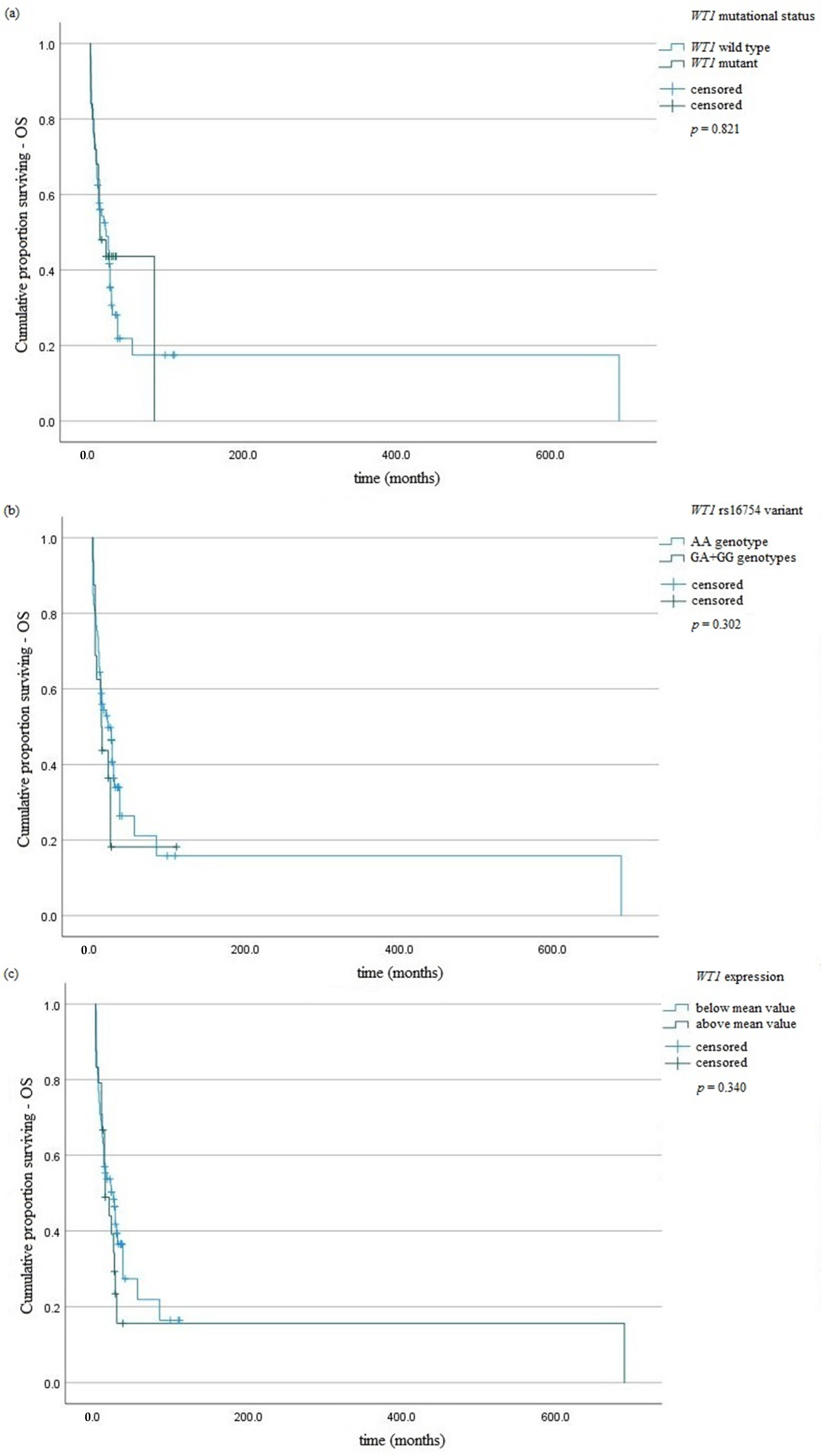 Jcm 11 01873 g001 Jcm 11 01873 g001